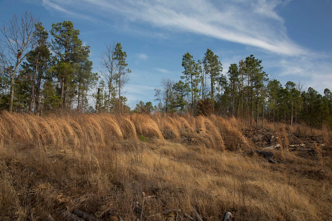 Stone Creek Phase III Tract 78 photo 17