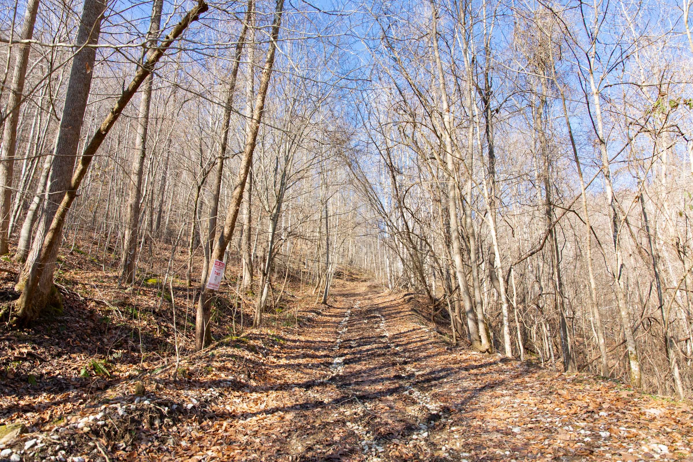Blackstone Mountain Phase I Tract 13 photo 7