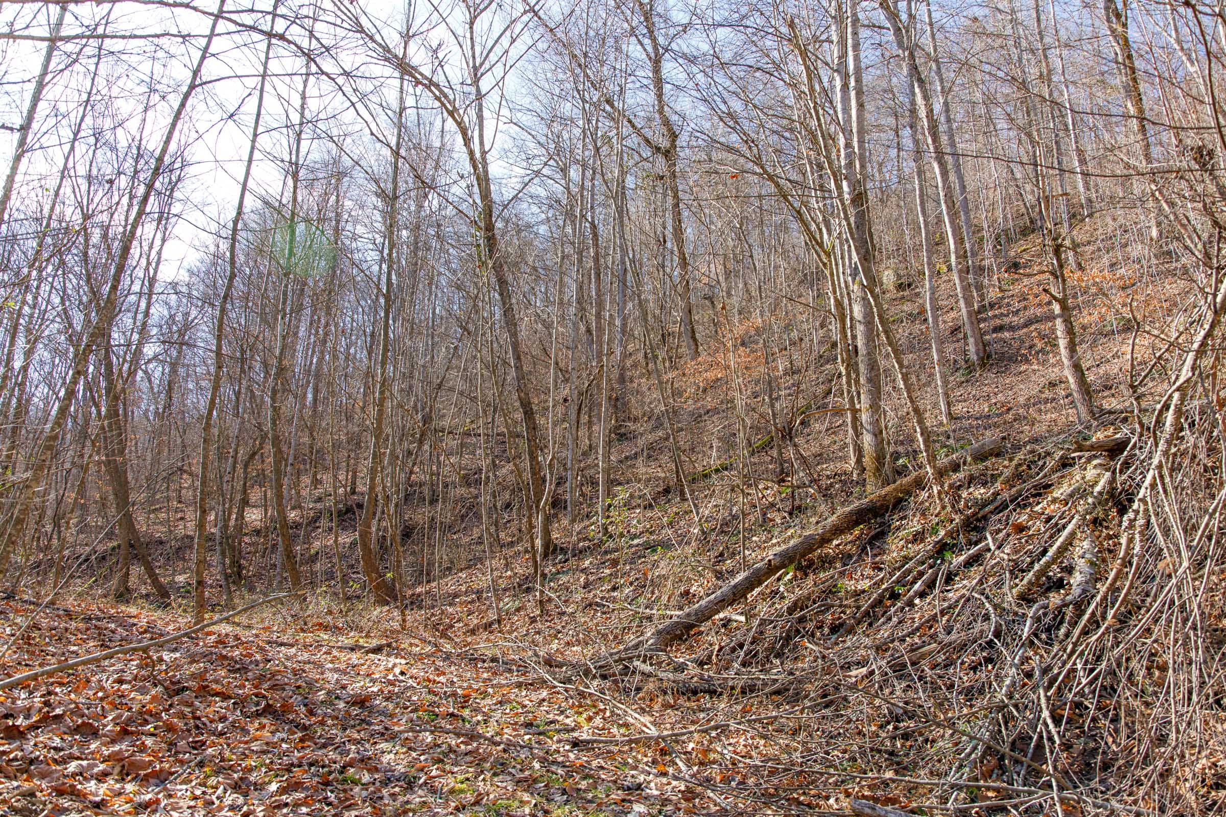 Blackstone Mountain Phase I Tract 13 photo 11