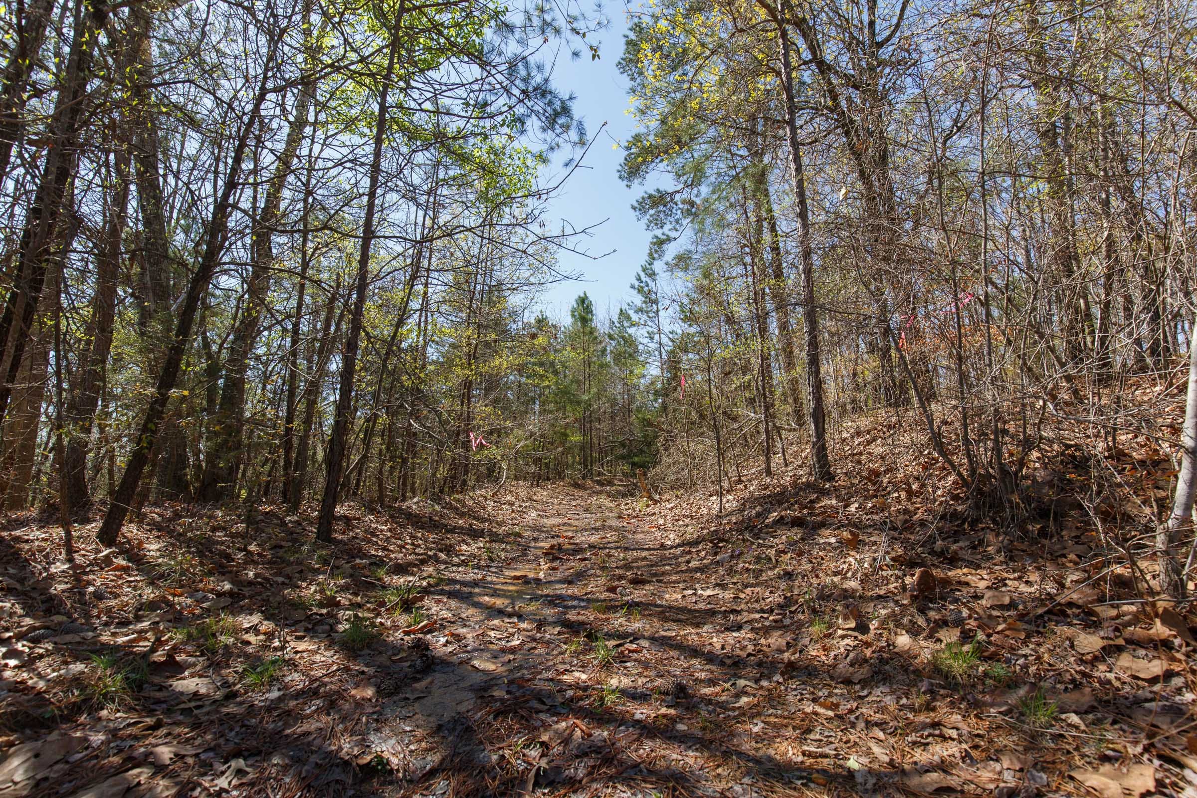 Southern Hills Tract 8 photo 11
