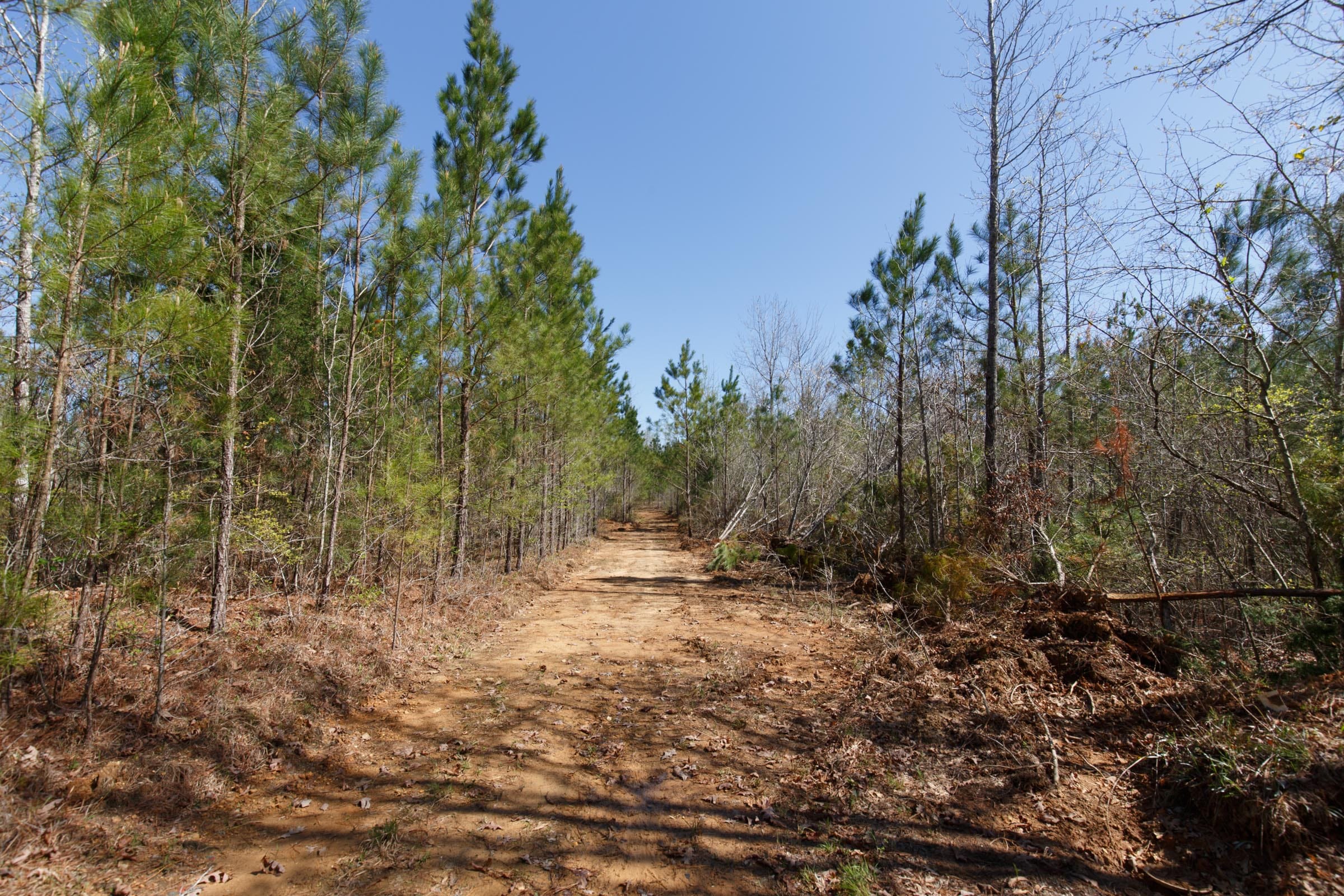 Southern Hills Tract 8 photo 2