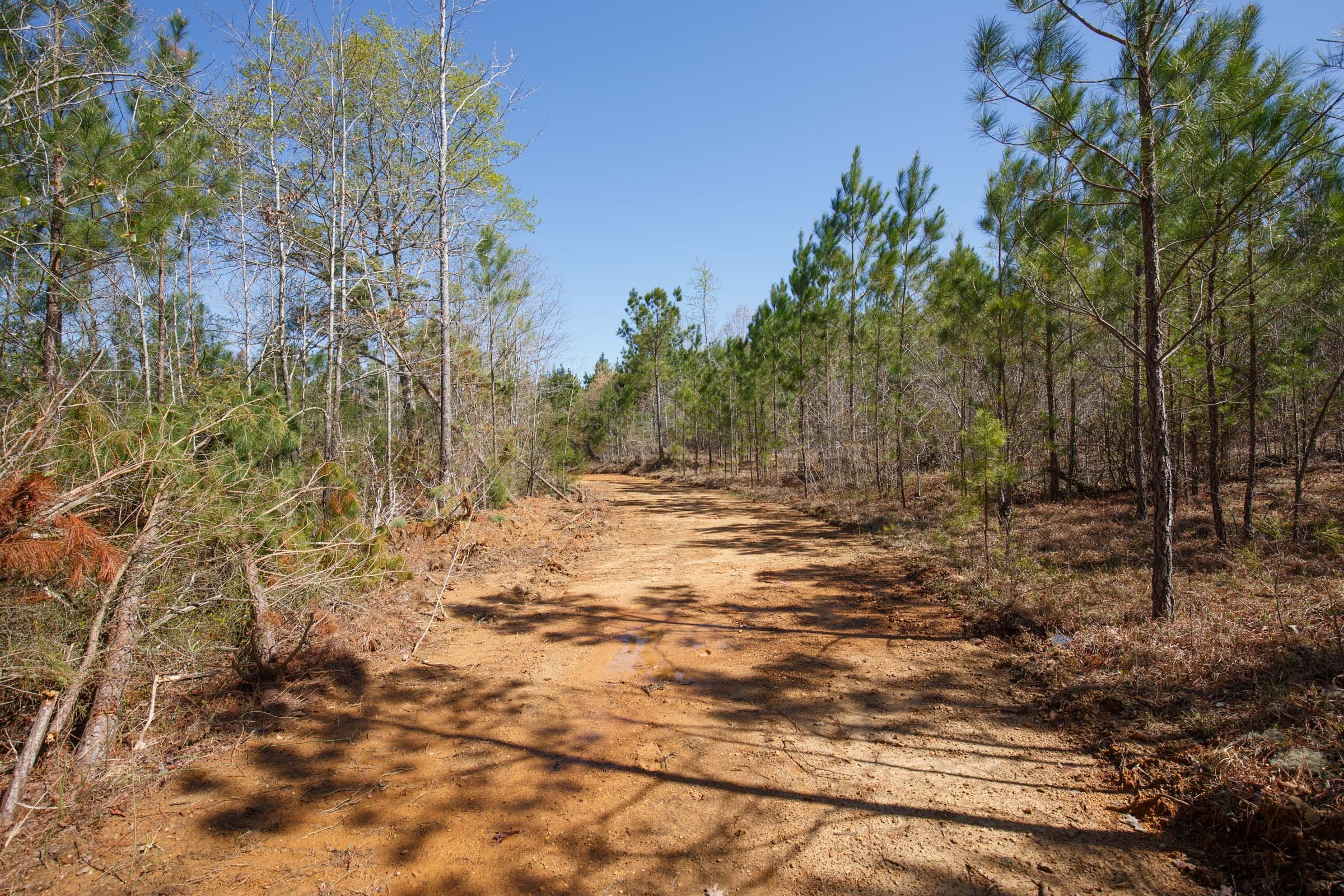 Southern Hills Tract 8 photo 6