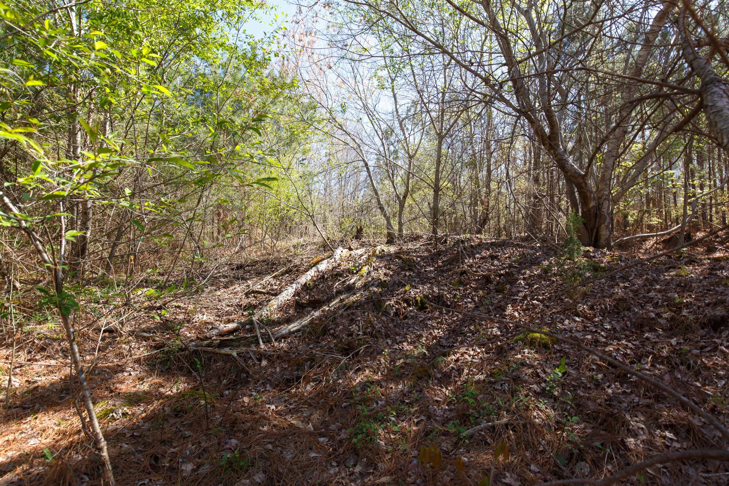Southern Hills Tract 8 photo 18