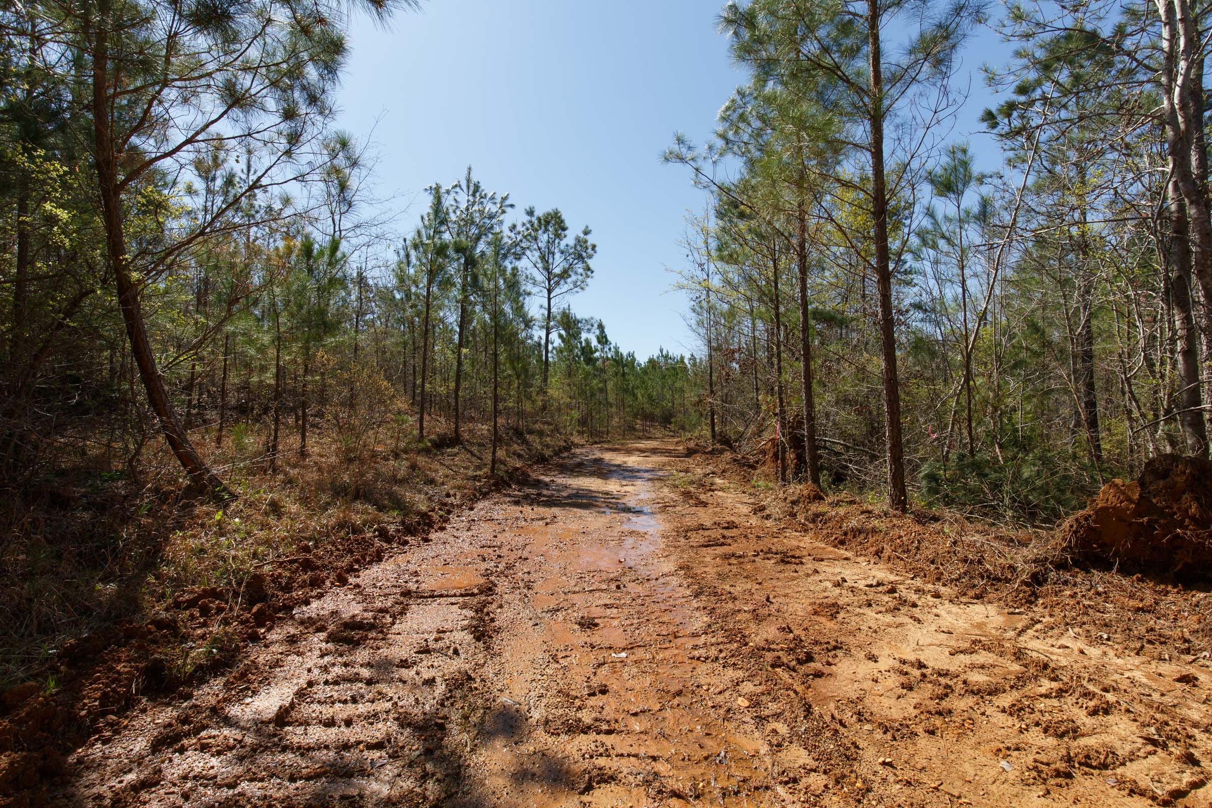 Southern Hills Tract 8 photo 16