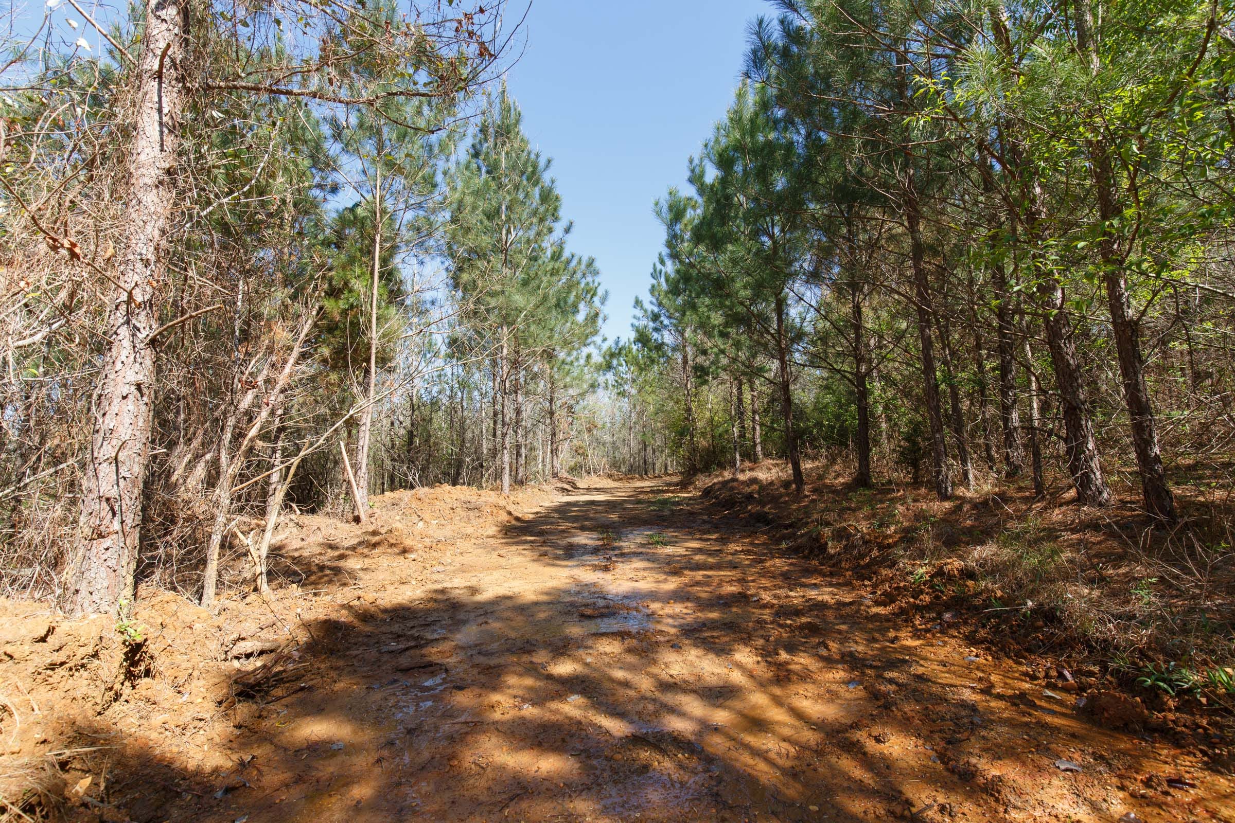Southern Hills Tract 8 photo 21