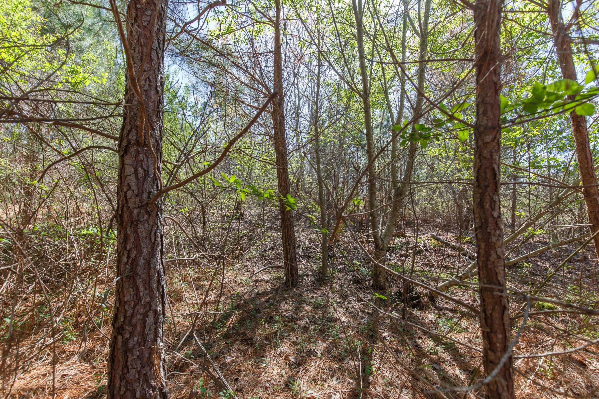 Southern Hills Tract 8 photo 22