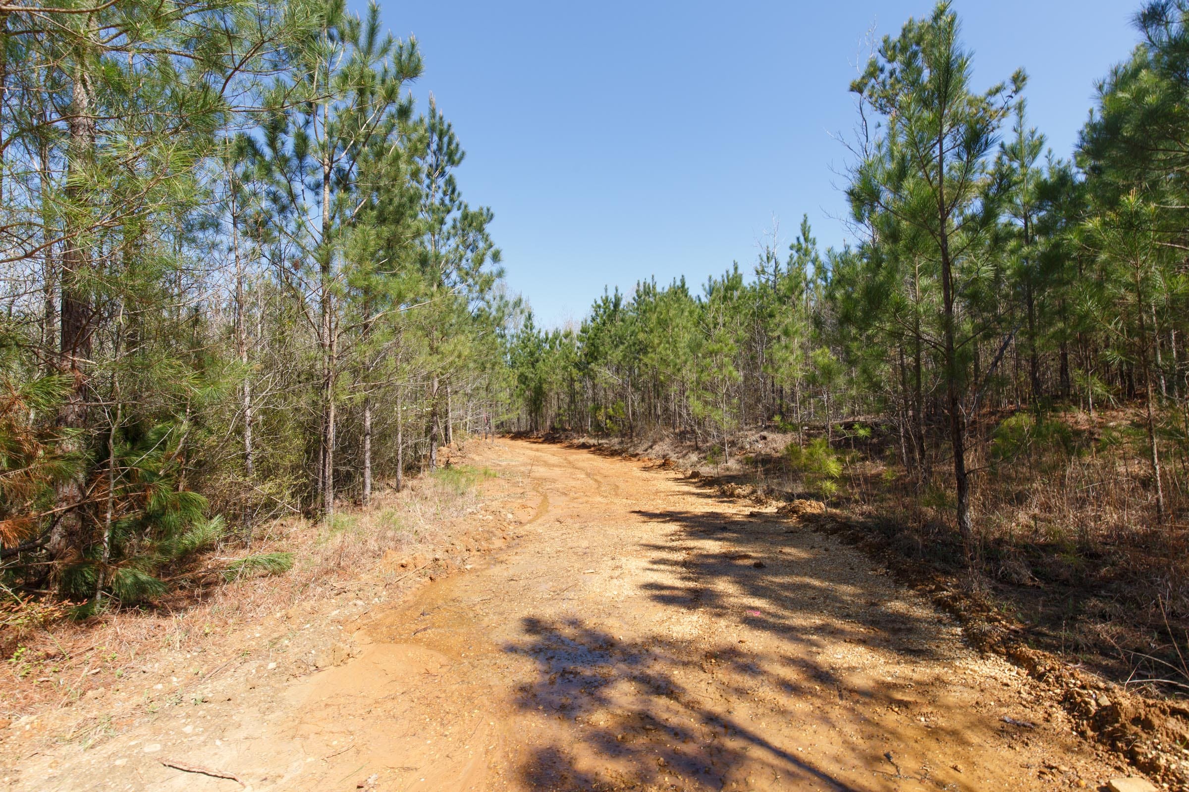 Southern Hills Tract 8 photo 26