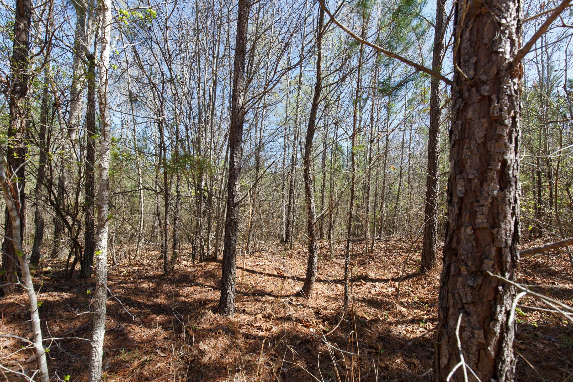 Southern Hills Tract 8 photo 32