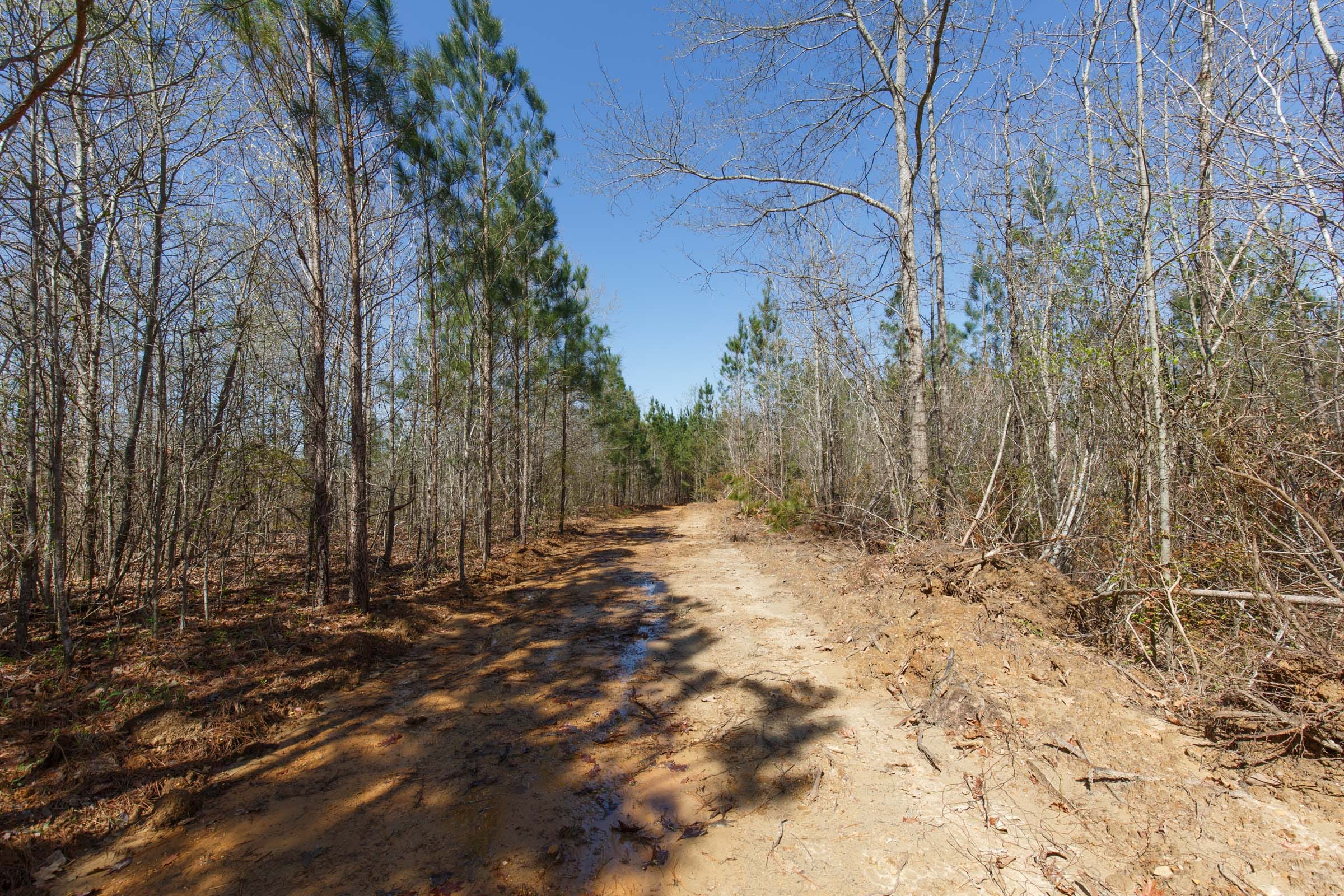 Southern Hills Tract 8 photo 31