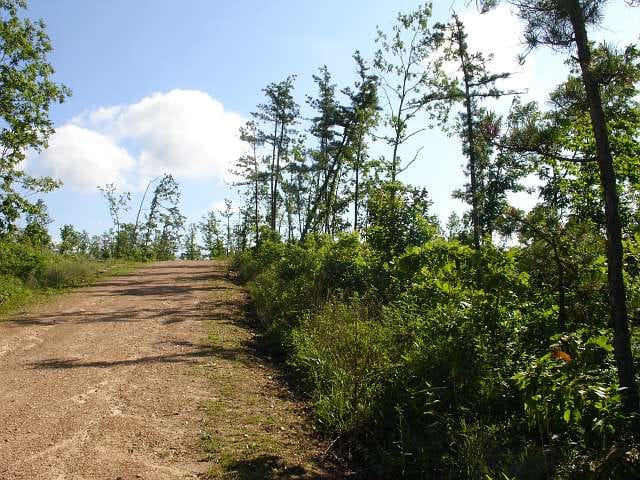 Antler Ridge Tract 36 photo 1