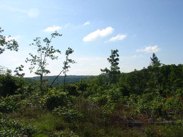 Antler Ridge Tract 36 photo 4