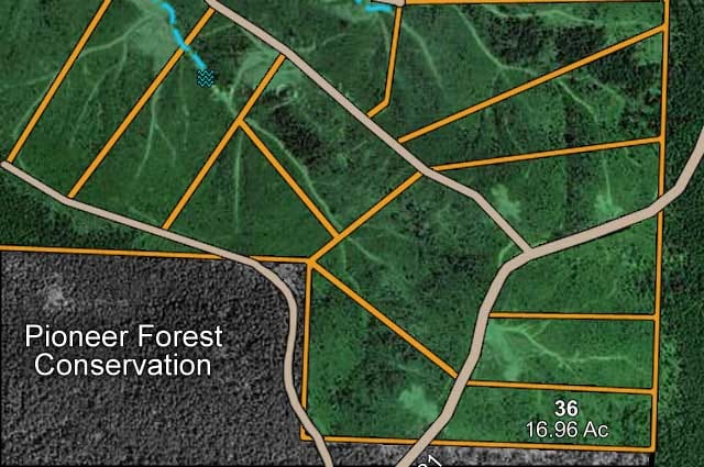 Antler Ridge Tract 36 photo 8