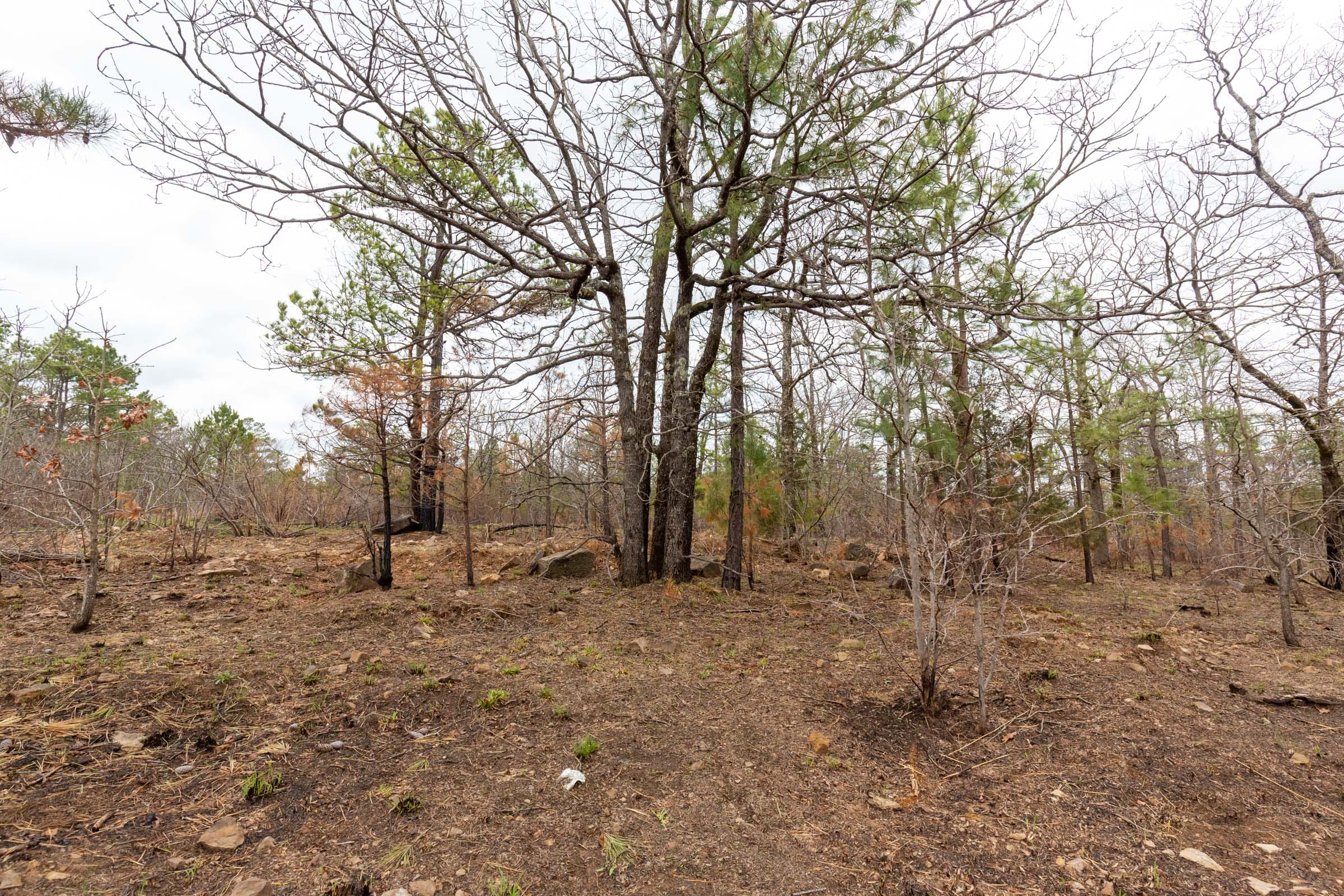 Stone Bridge Phase III Tract 217 photo 9