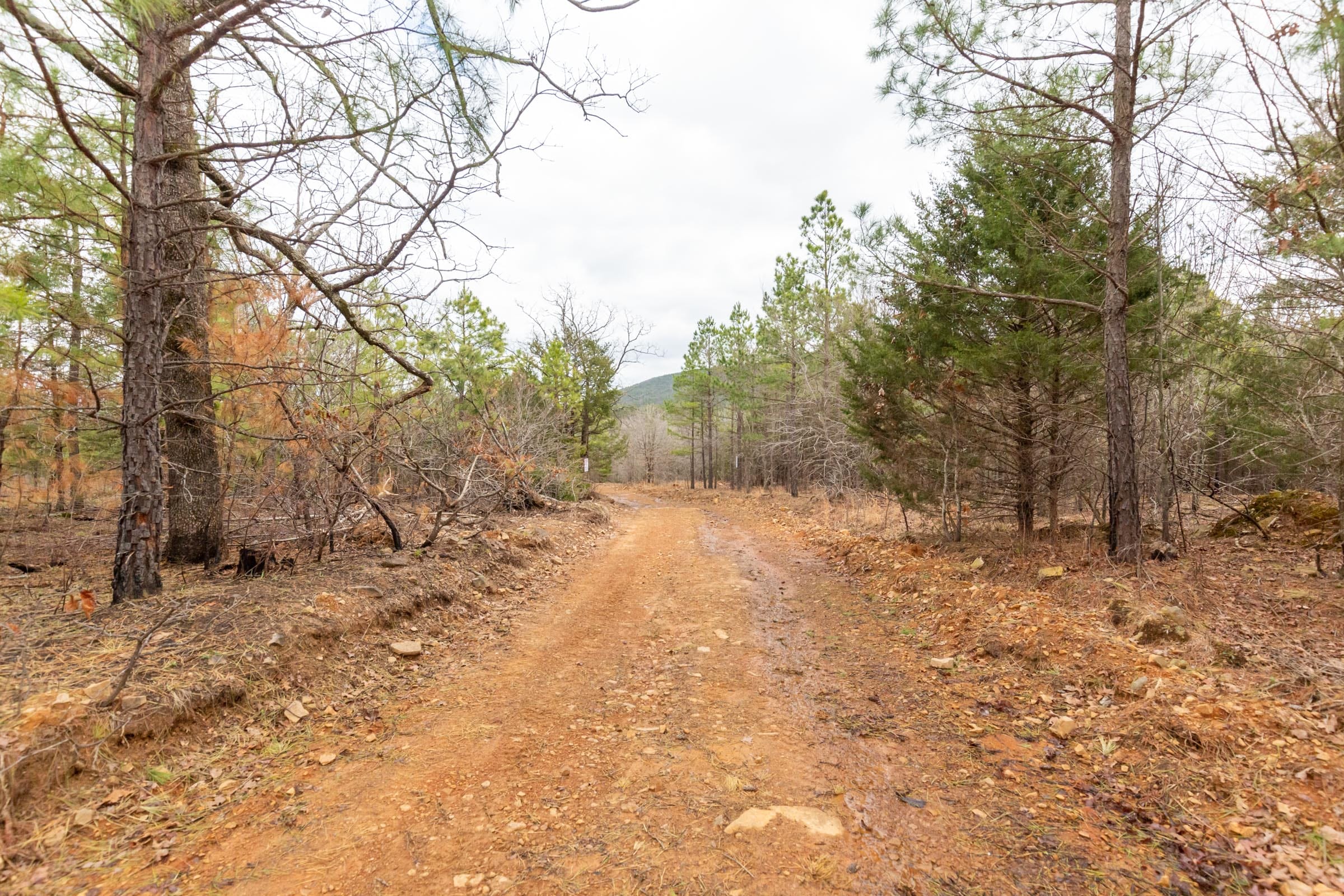 Stone Bridge Phase III Tract 217 photo 1