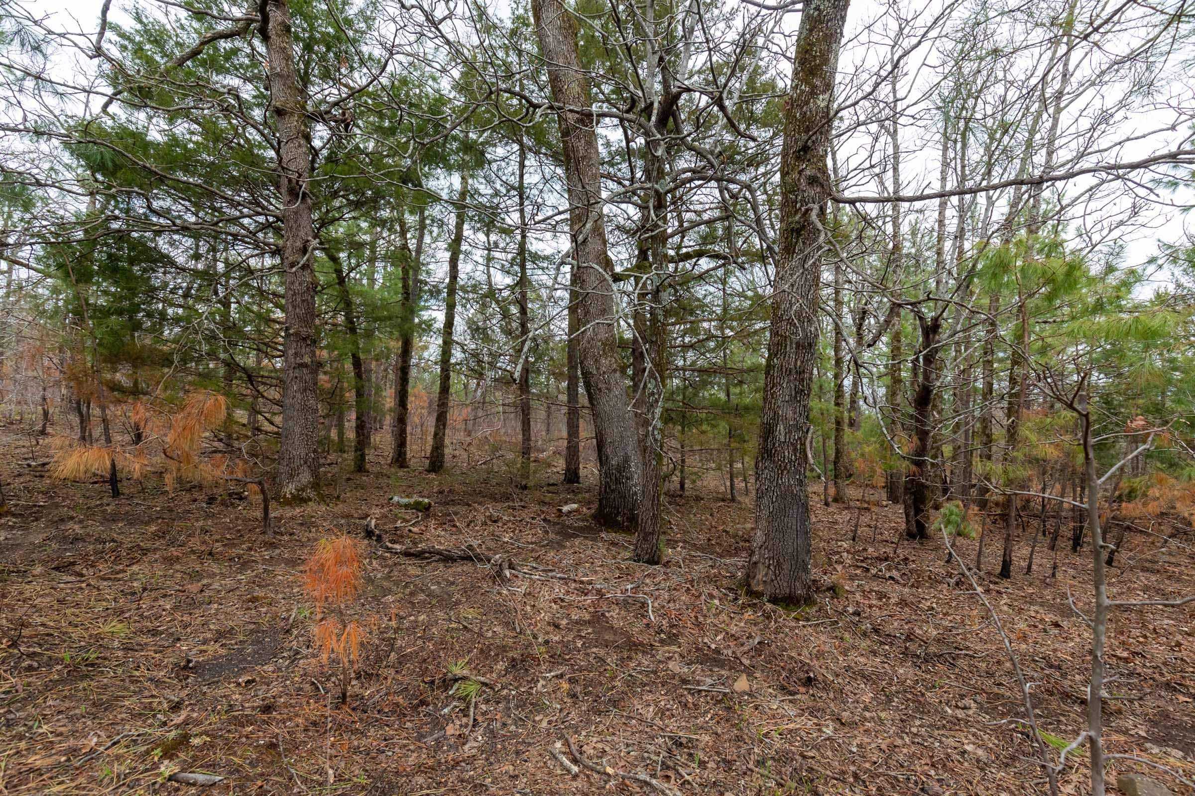 Stone Bridge Phase III Tract 217 photo 11