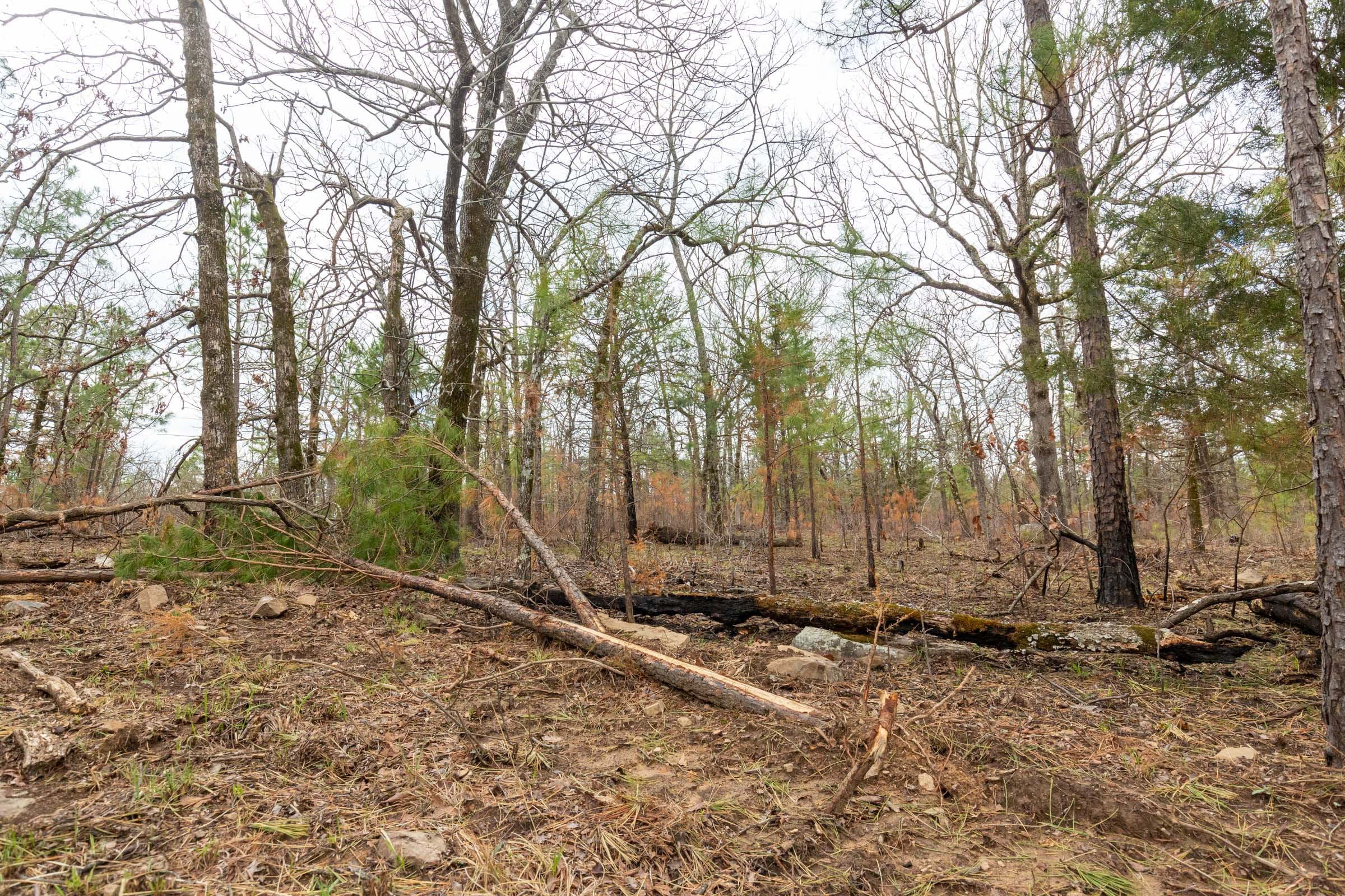 Stone Bridge Phase III Tract 217 photo 13