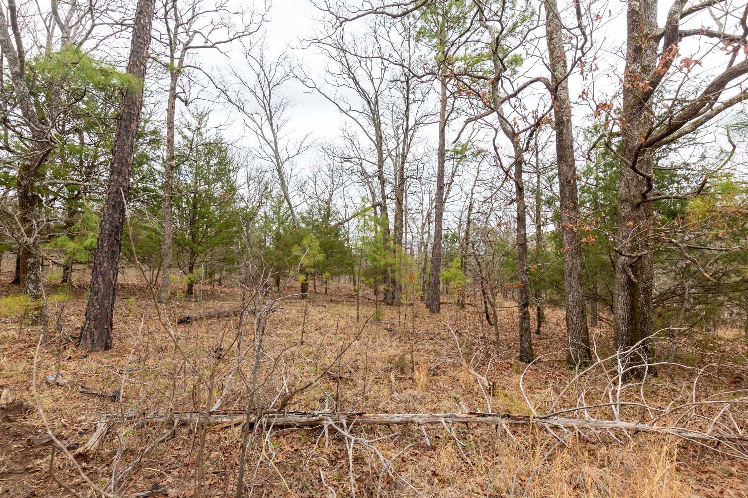 Stone Bridge Phase III Tract 217 photo 14
