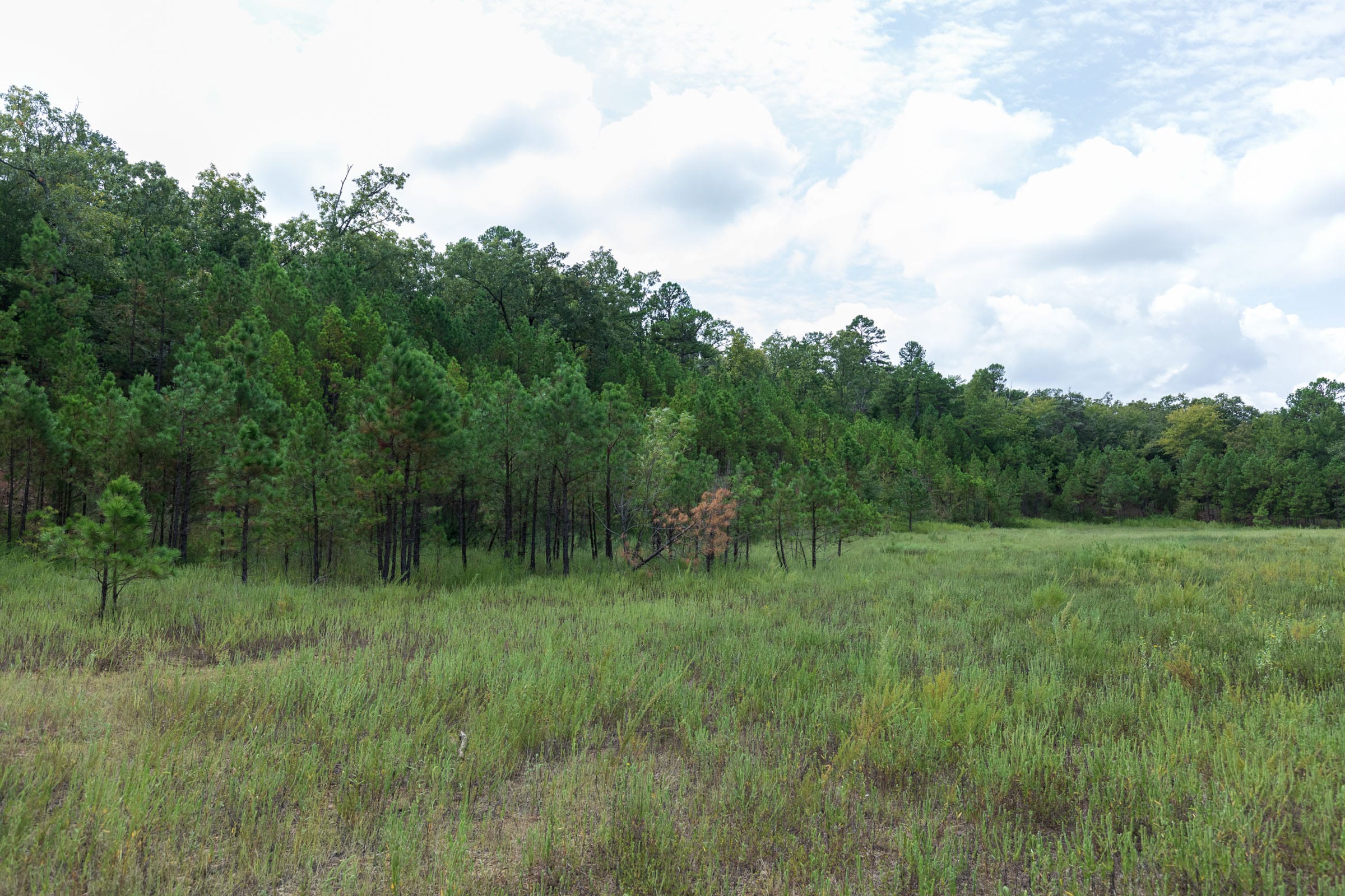 Stone Bridge Phase V Tract 335 photo 8