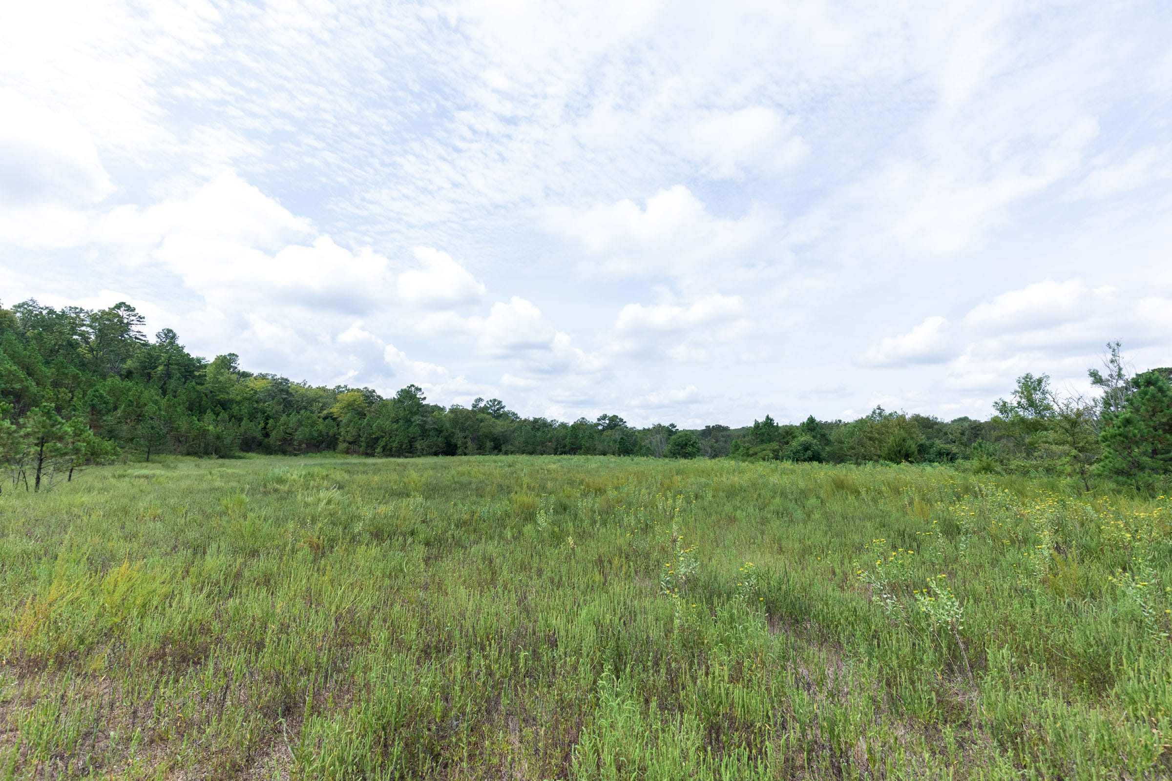 Stone Bridge Phase V Tract 335 photo 10