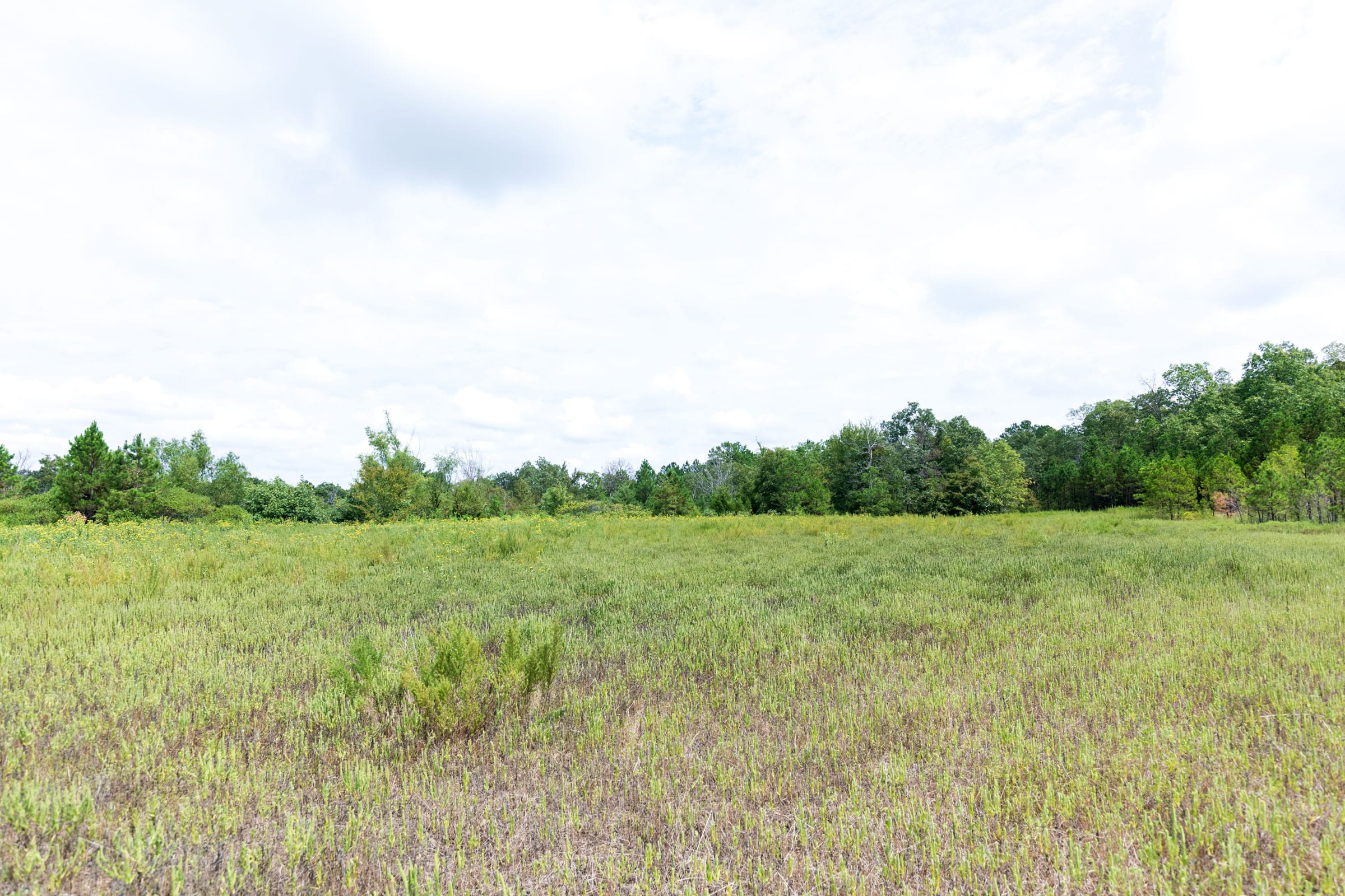 Stone Bridge Phase V Tract 335 photo 11