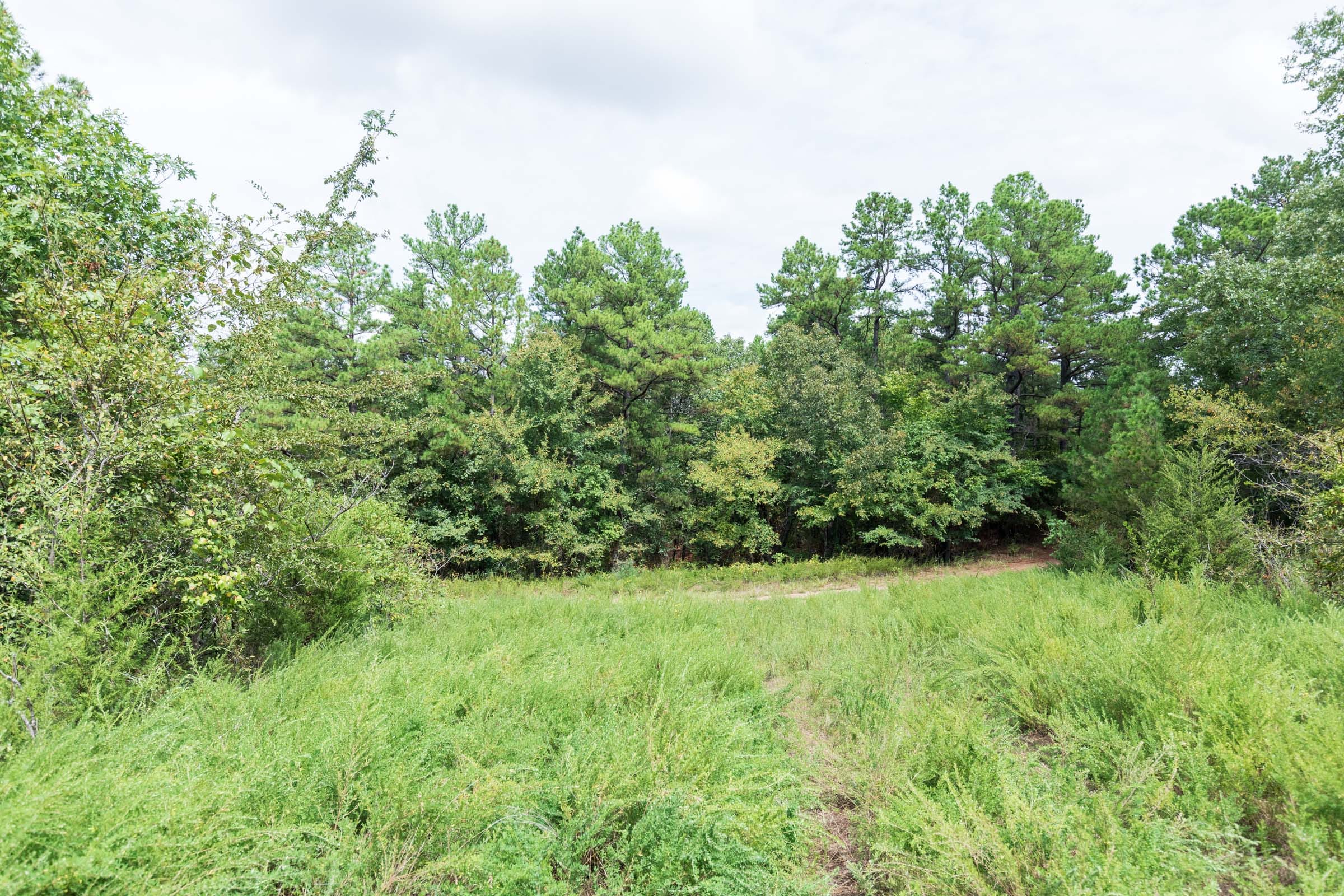 Stone Bridge Phase V Tract 335 photo 14