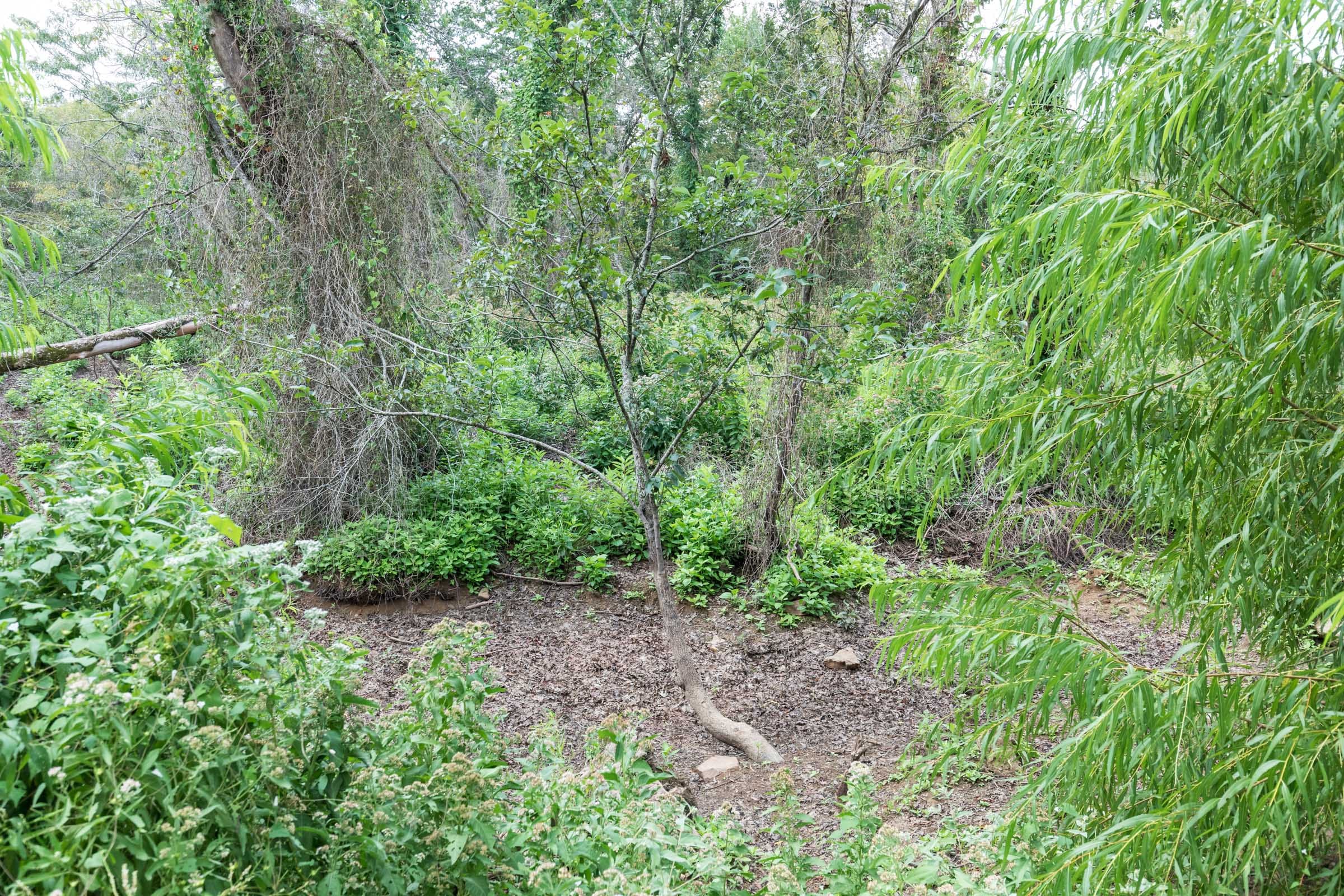 Stone Bridge Phase V Tract 335 photo 7