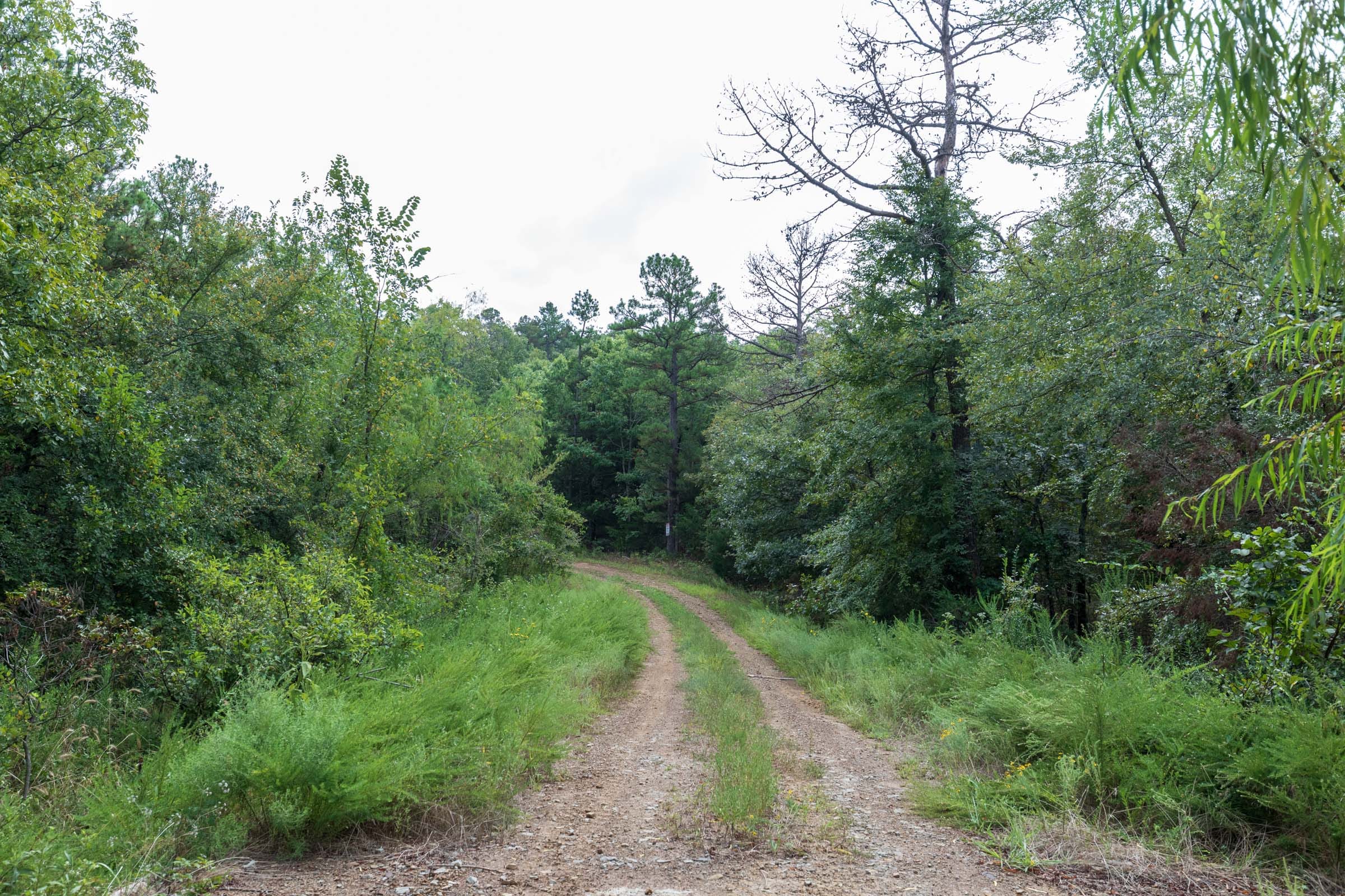 Stone Bridge Phase V Tract 335 photo 1