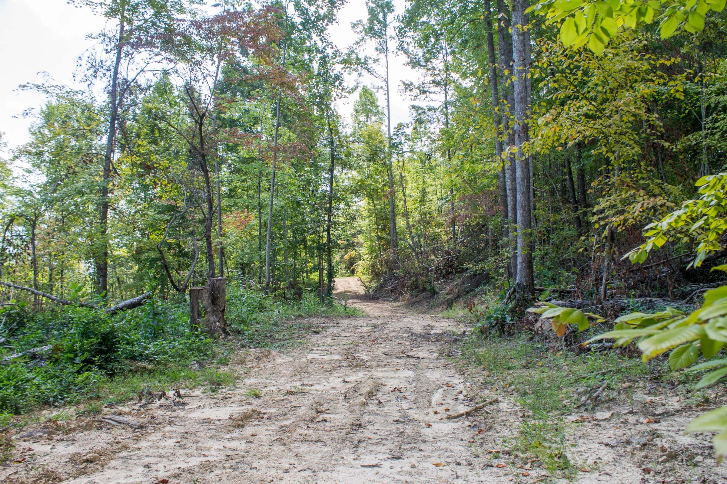 Buck Run Ridge Tract 11 photo 3