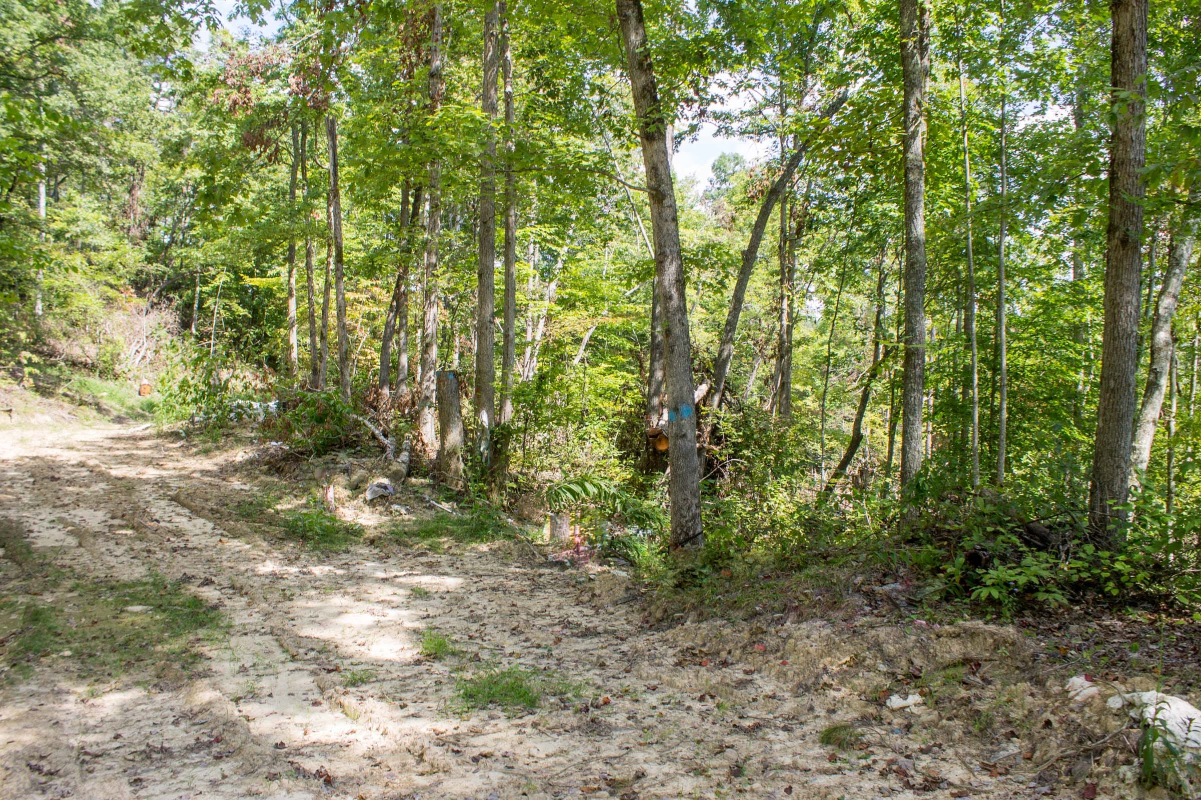 Buck Run Ridge Tract 11 photo 12