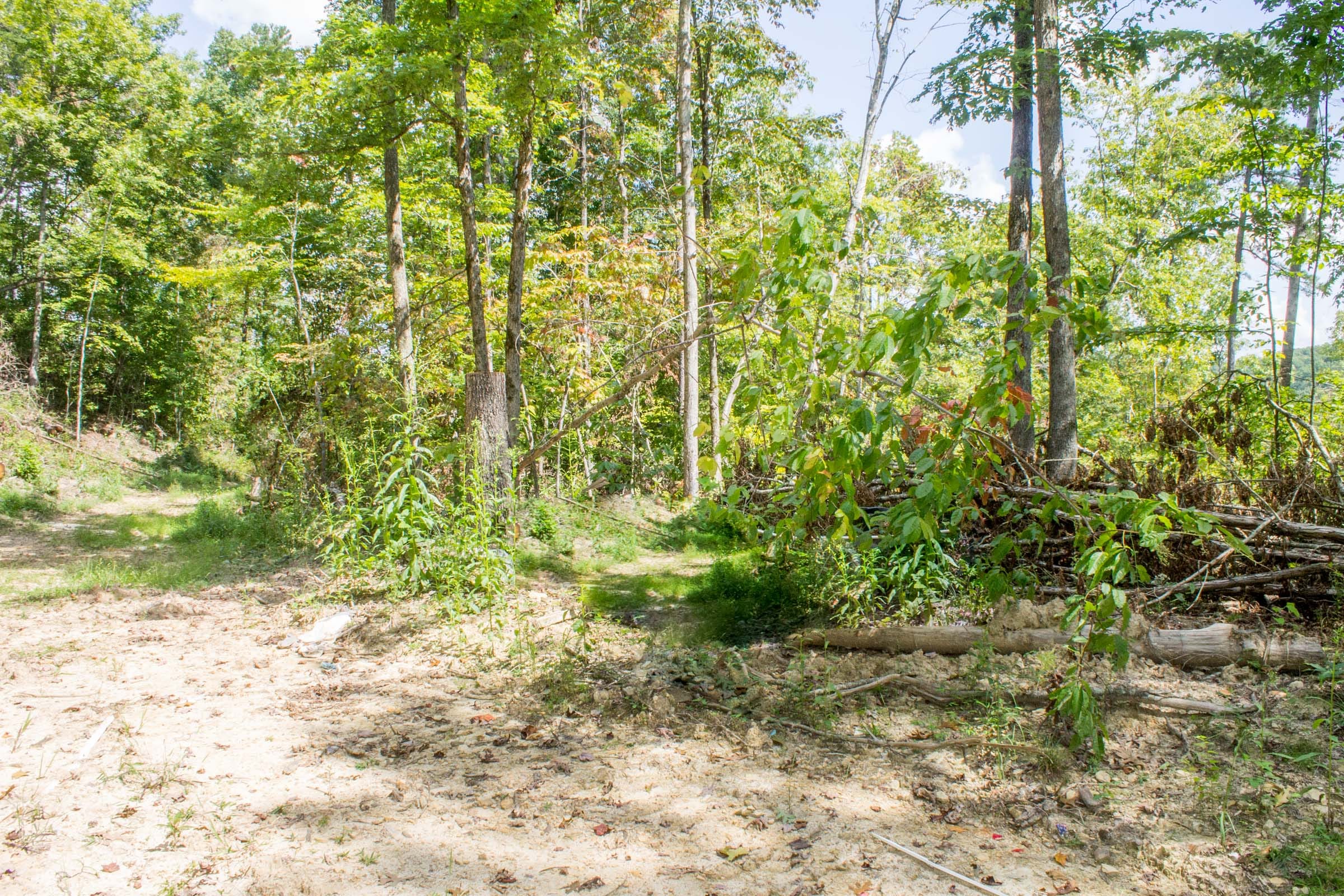 Buck Run Ridge Tract 11 photo 13