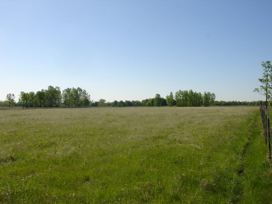 Red River Ranch Tract 8 photo 2