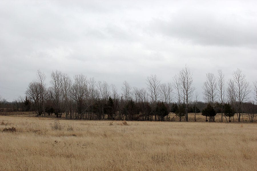 Red River Ranch Tract 8 photo 8