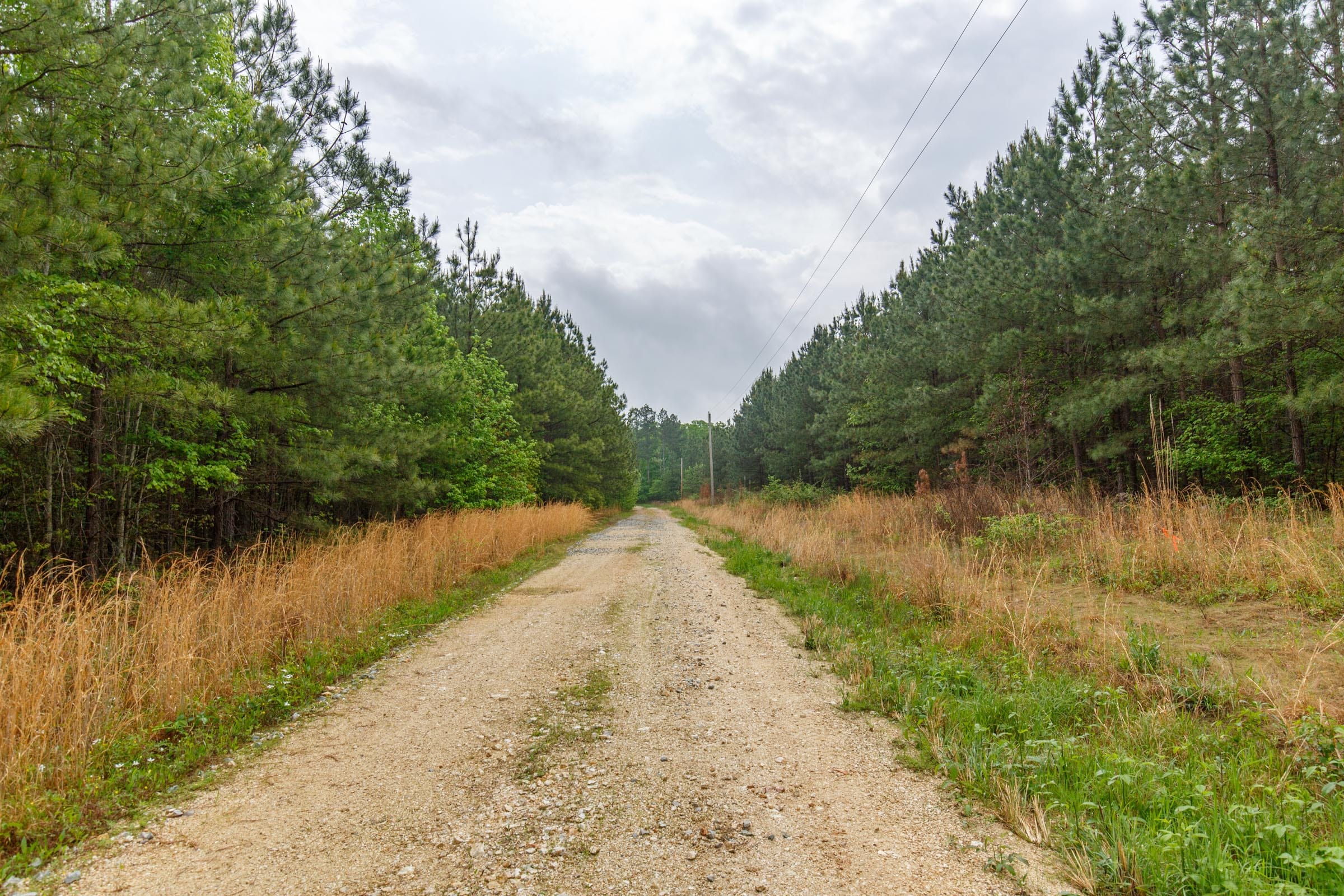 Red Barn Ranch Tract 2 photo 1