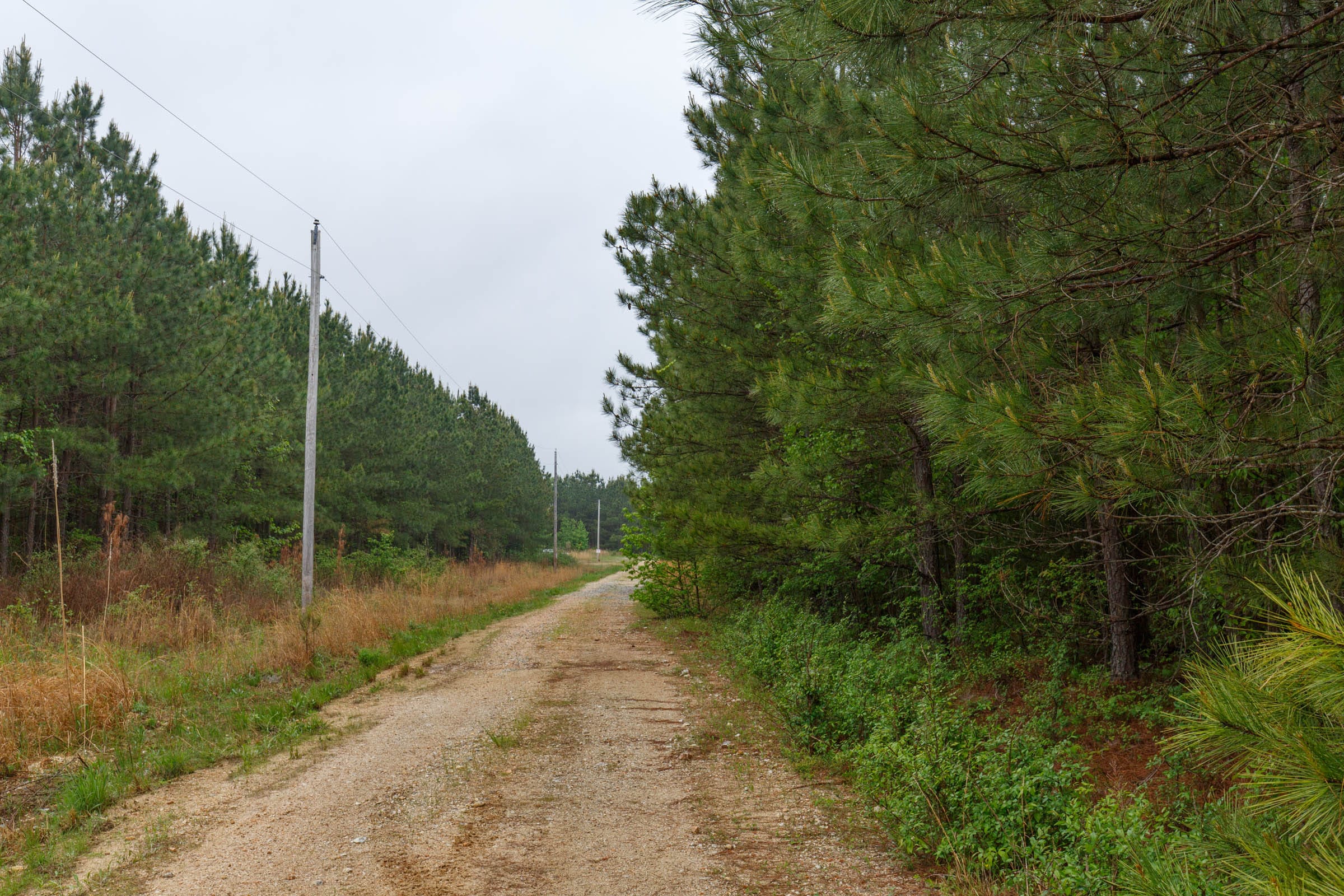 Red Barn Ranch Tract 2 photo 4