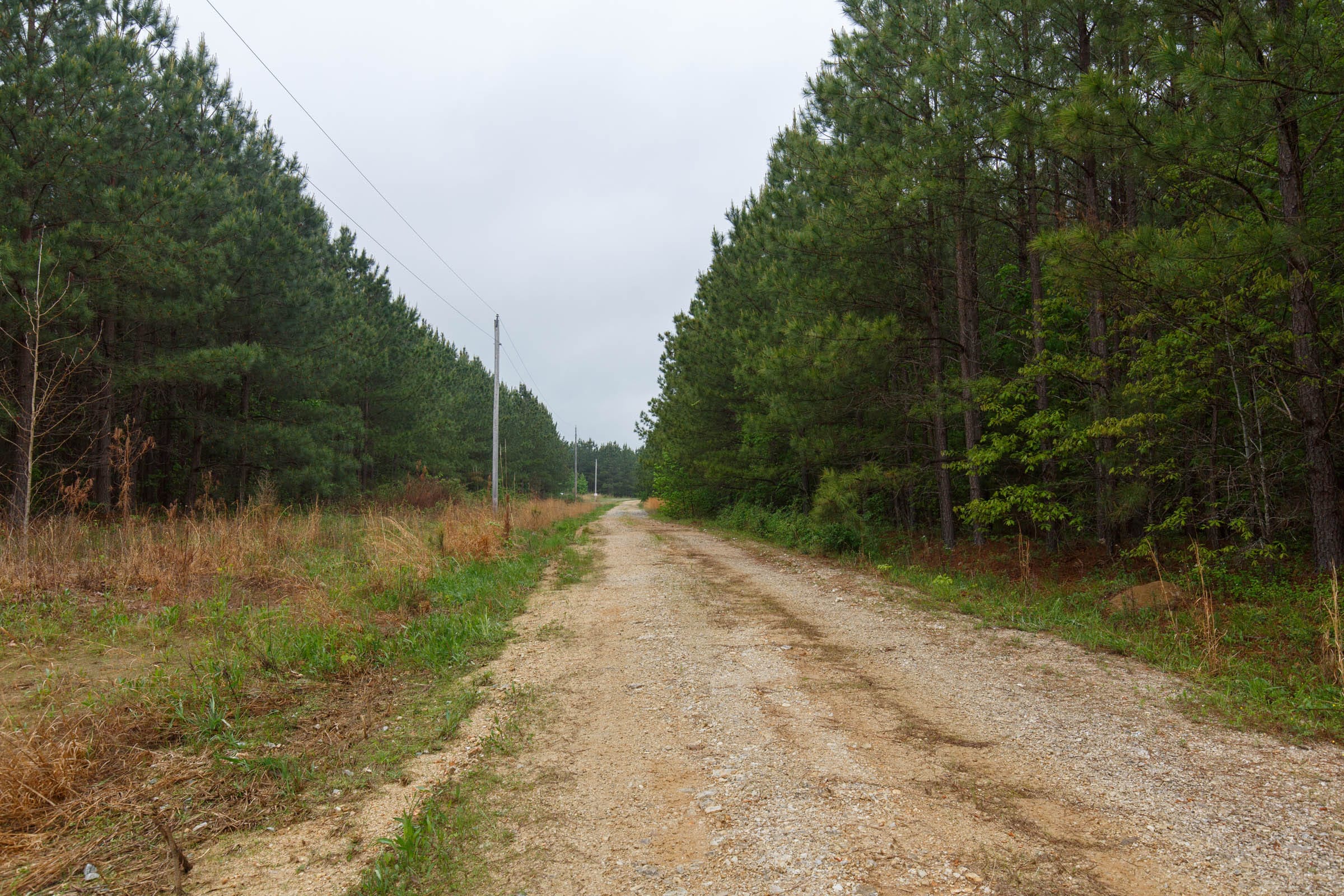 Red Barn Ranch Tract 2 photo 7