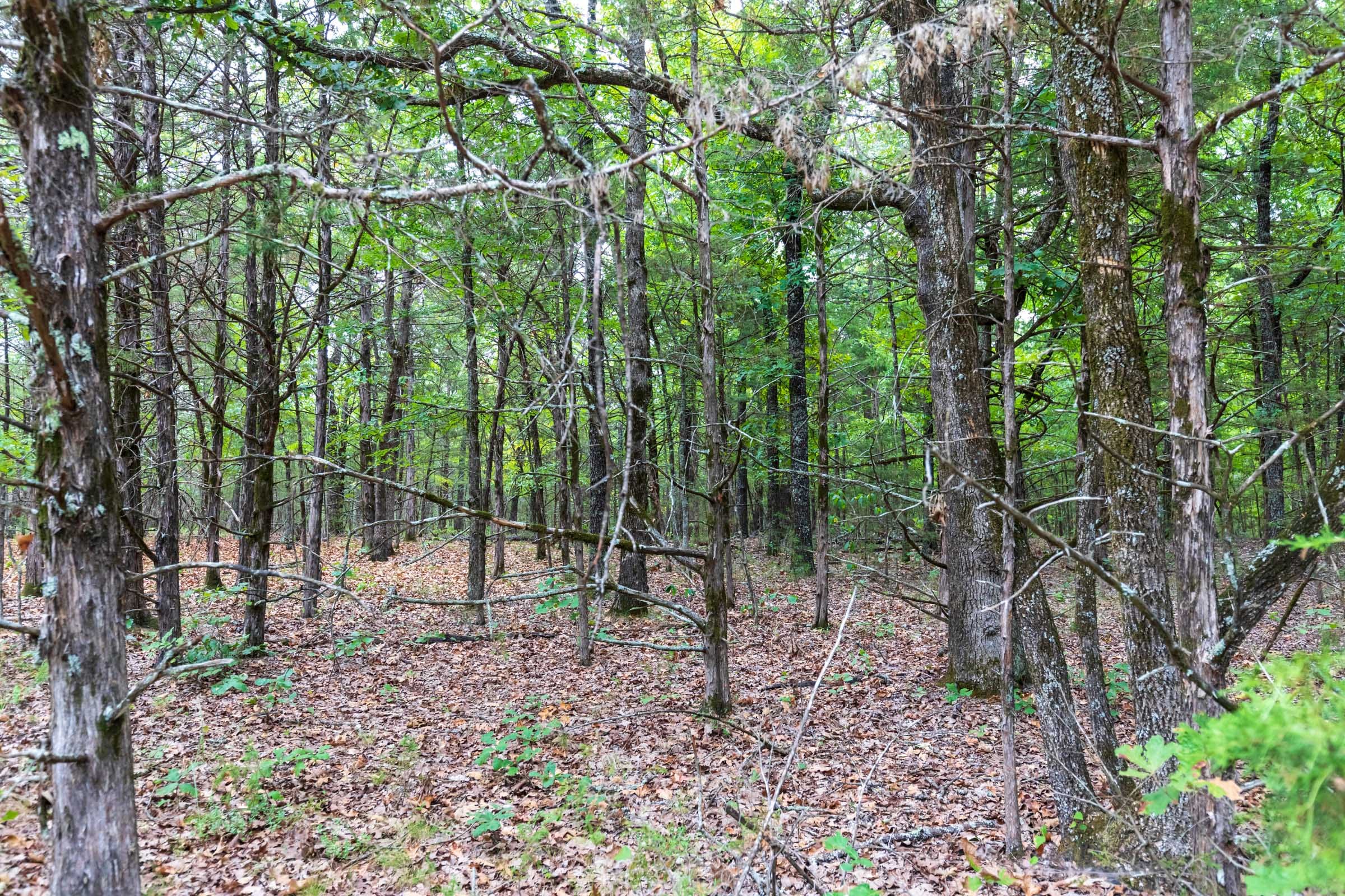 Heritage Bend Tract 1 photo 3