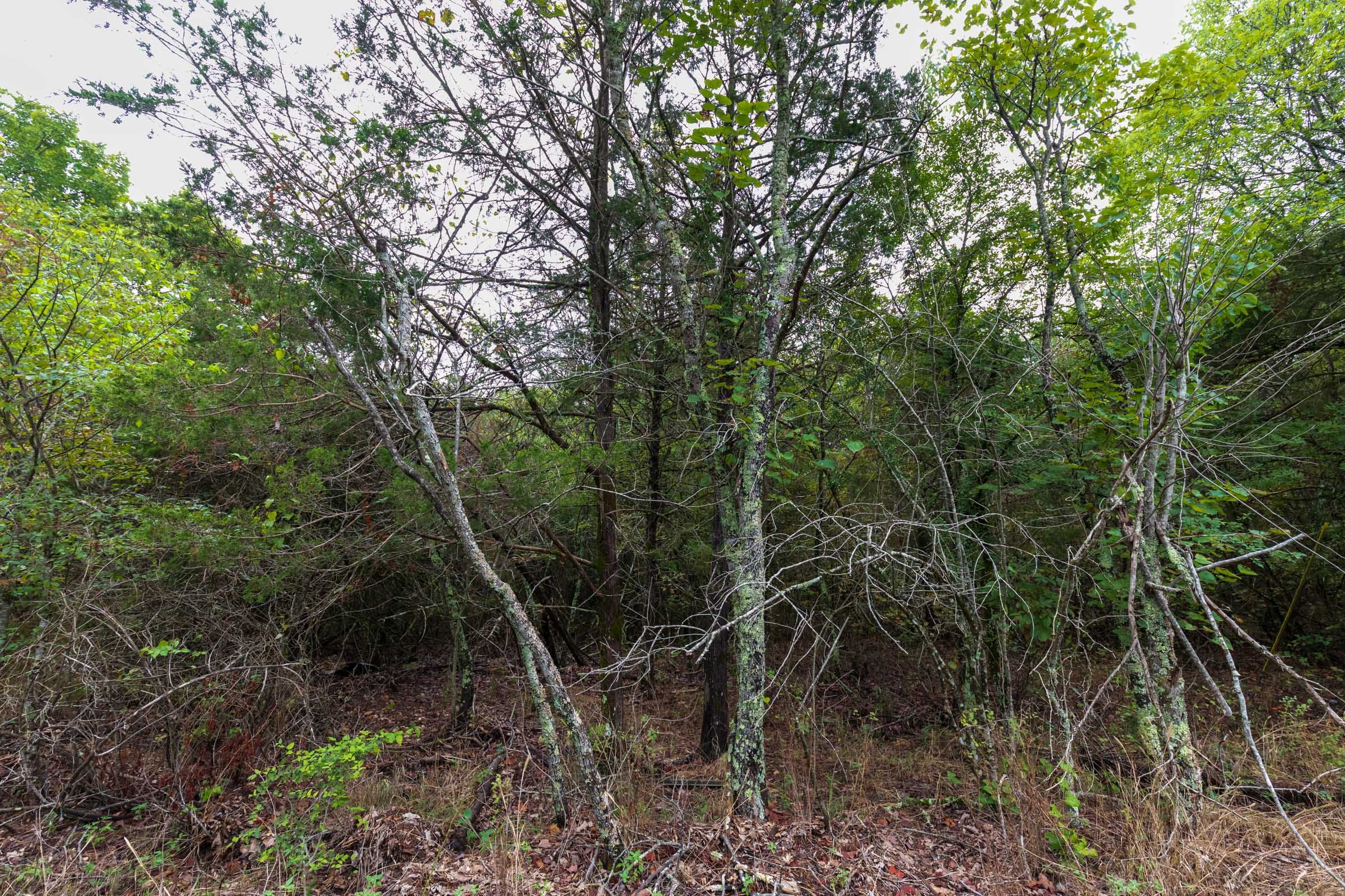 Heritage Bend Tract 1 photo 7