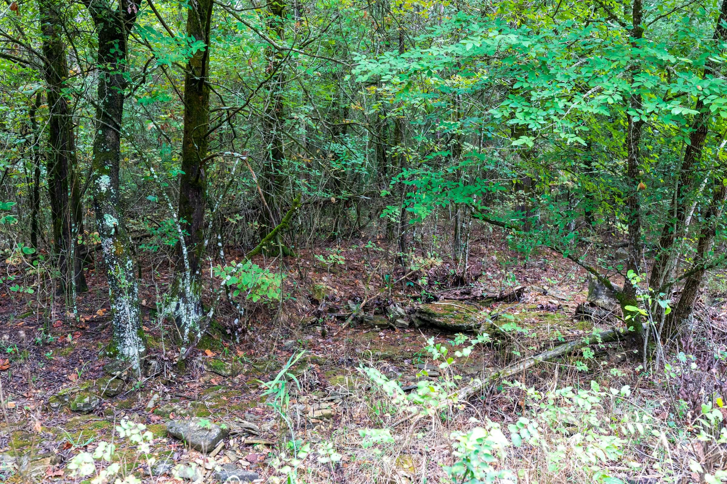 Heritage Bend Tract 1 photo 2