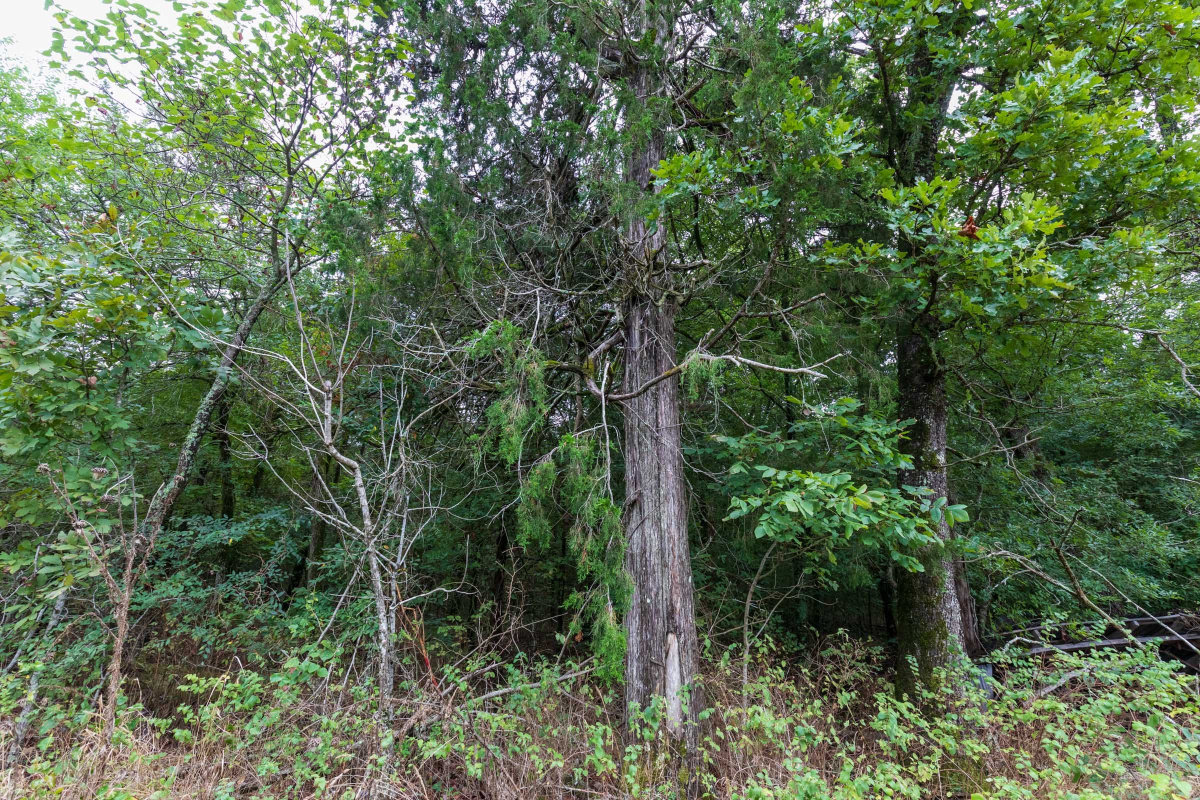 Heritage Bend Tract 1 photo 8
