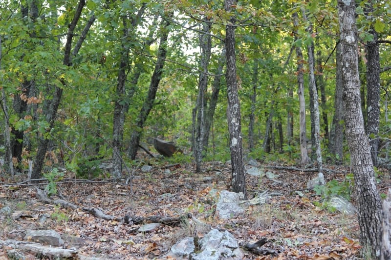 Lake View Ranch Tract 37 photo 1