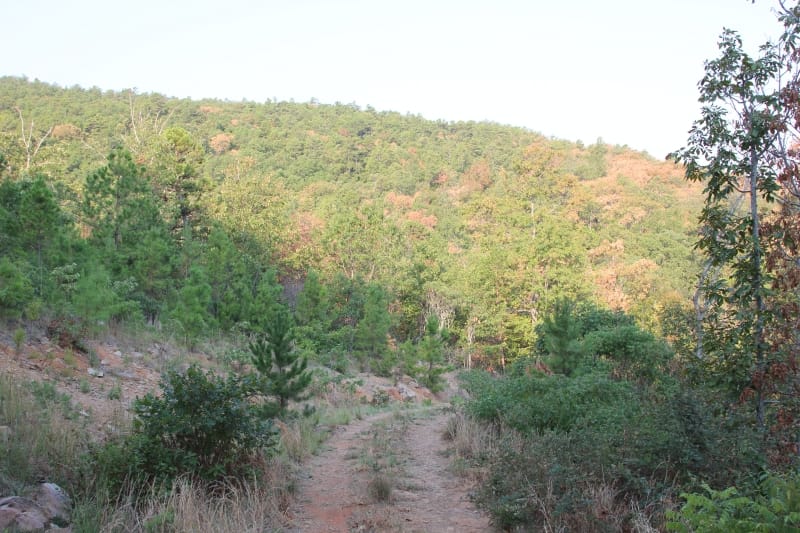 Lake View Ranch Tract 37 photo 2
