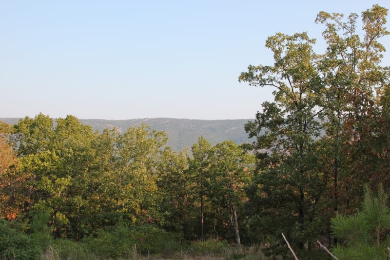Lake View Ranch Tract 37 photo 4