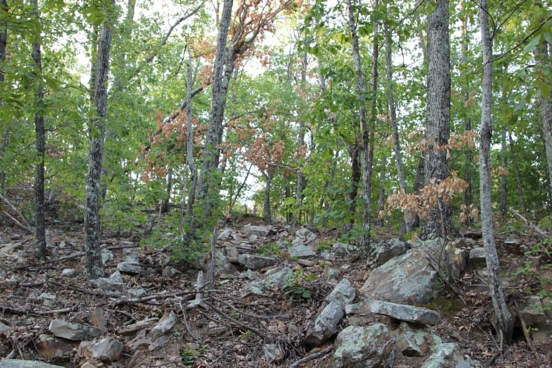 Lake View Ranch Tract 37 photo 6