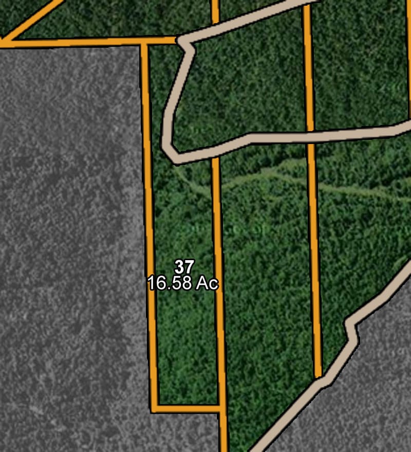 Lake View Ranch Tract 37 photo 7