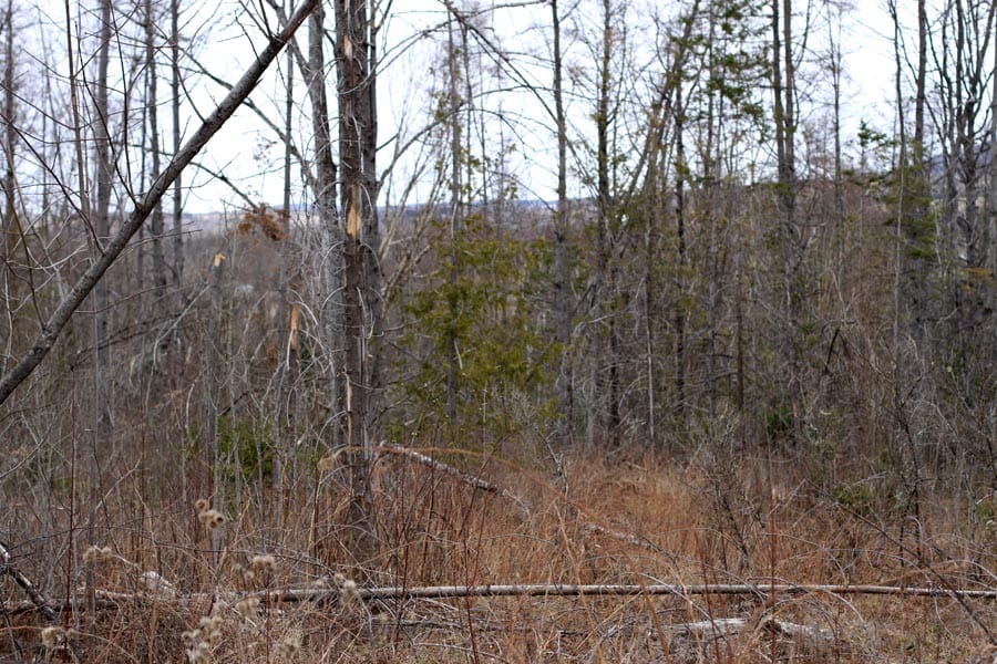 Sunrise Estates Tract 13 photo 6