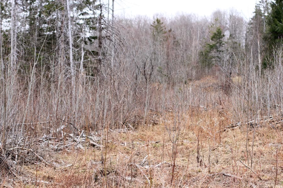 Sunrise Estates Tract 13 photo 10