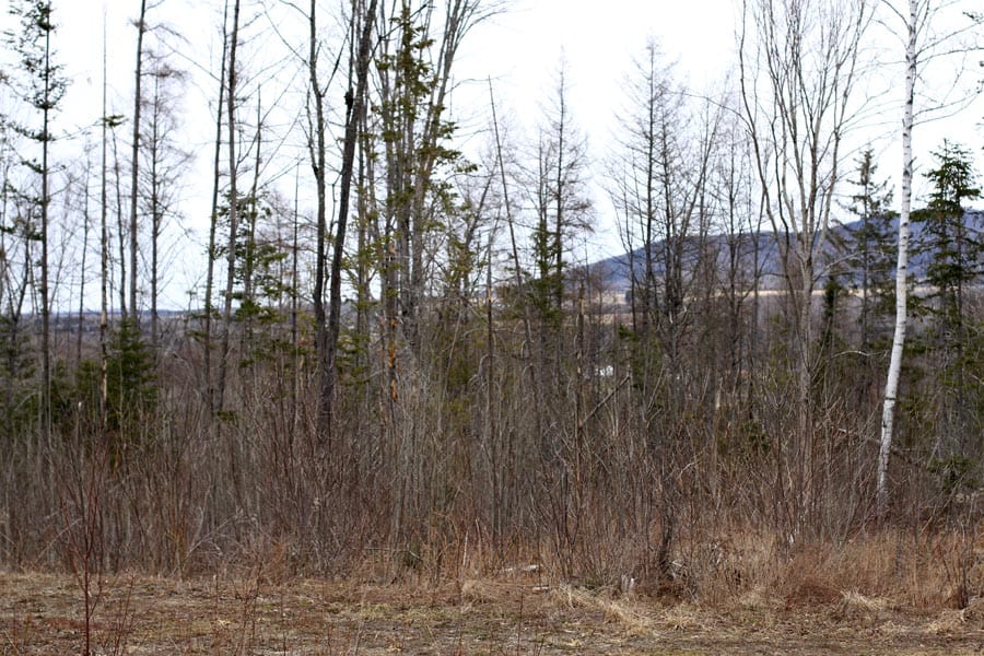 Sunrise Estates Tract 13 photo 12
