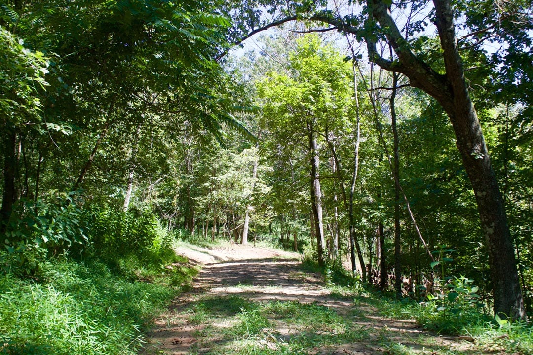 Heritage Hollow Tract 18 photo 2