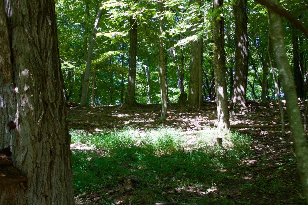 Heritage Hollow Tract 18 photo 4