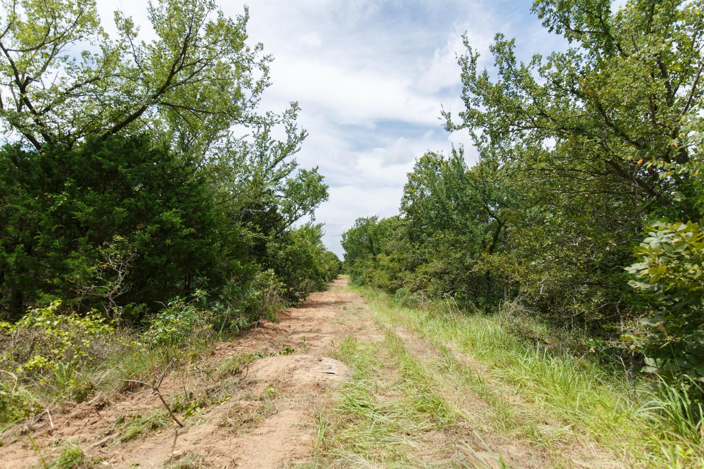 Timber Ridge Tract 34 photo 4